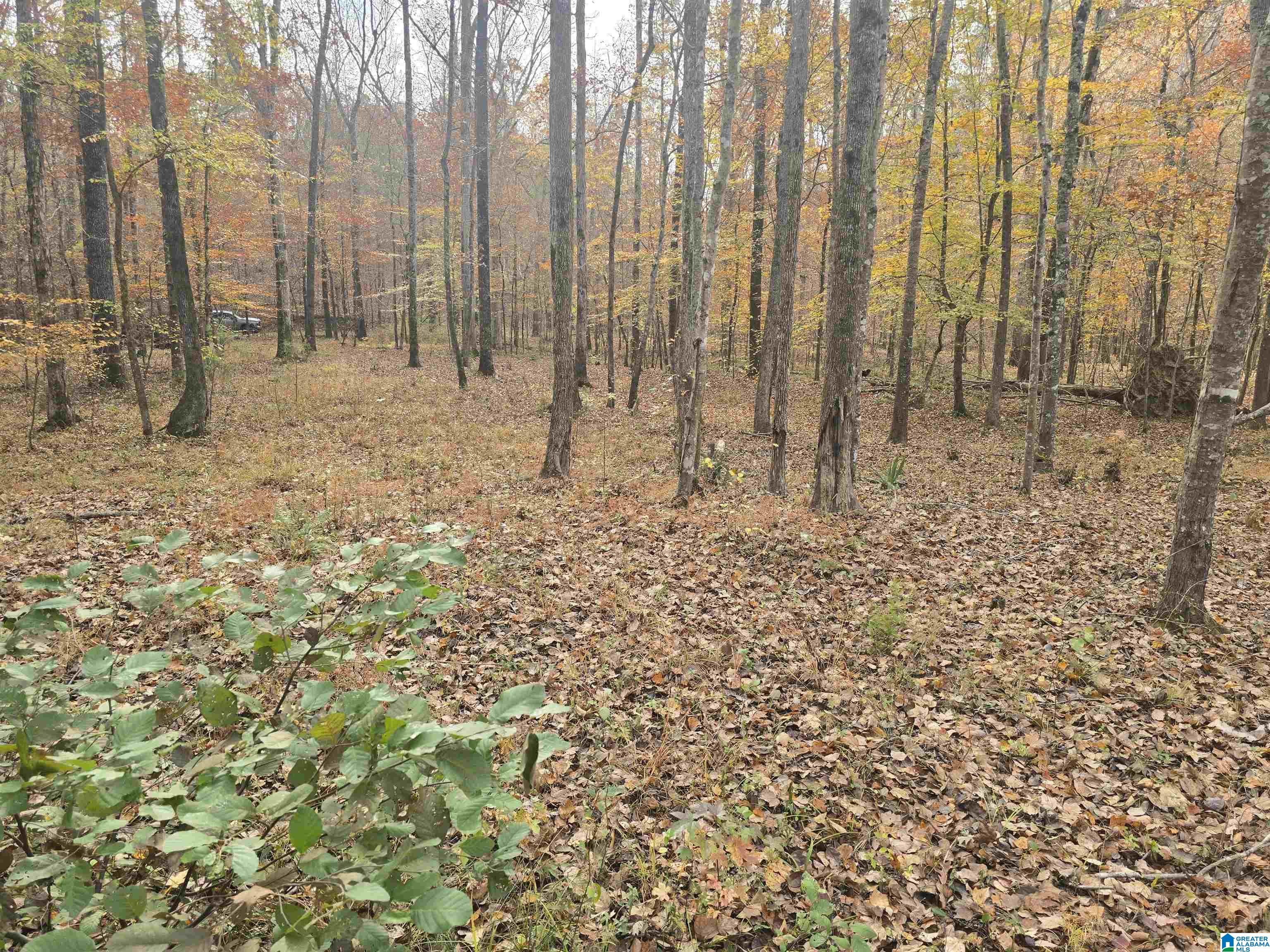 Homes for sale in Sylacauga, AL | 291 Crain Lane, Sylacauga, AL 35151 | MLS# 21443711