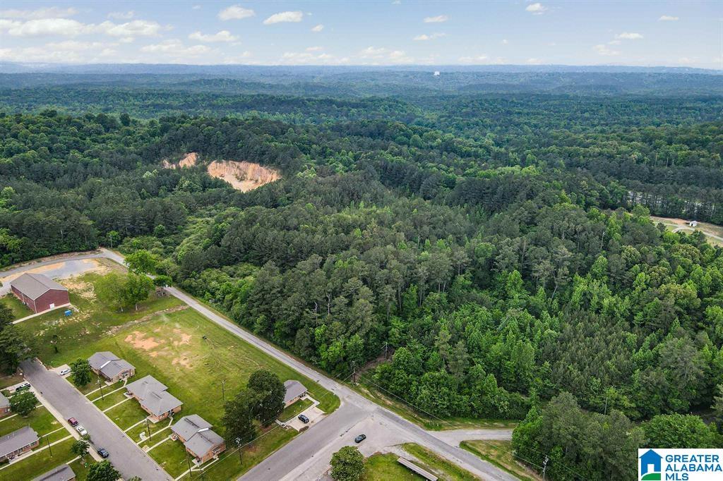 2nd image of 1900 Kentucky Street, Leeds, AL 35094 | MLS# 21443719