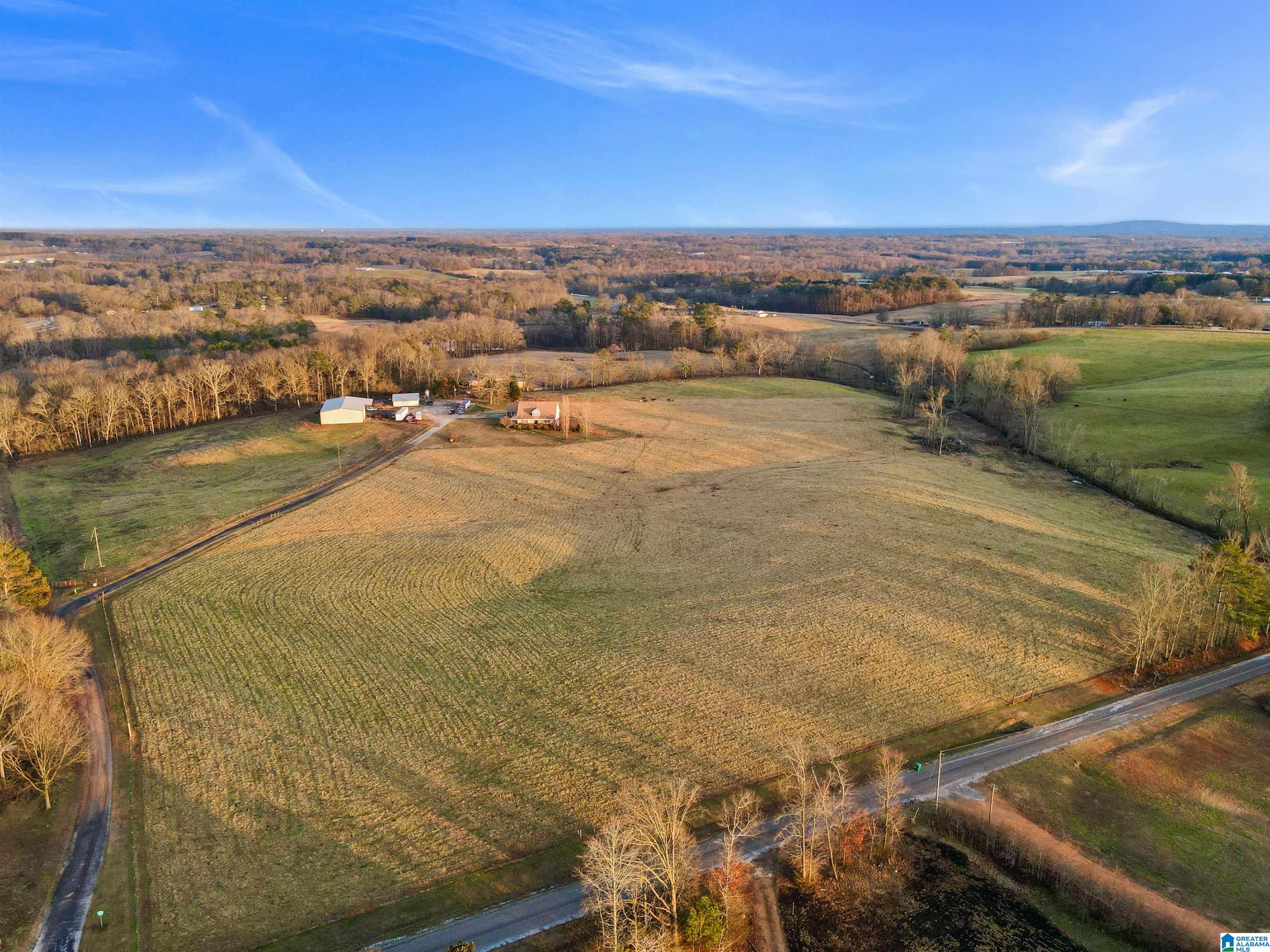 Homes for sale in Ranburne, AL | 80 County Road 624, Ranburne, AL 36273 | MLS# 21443788