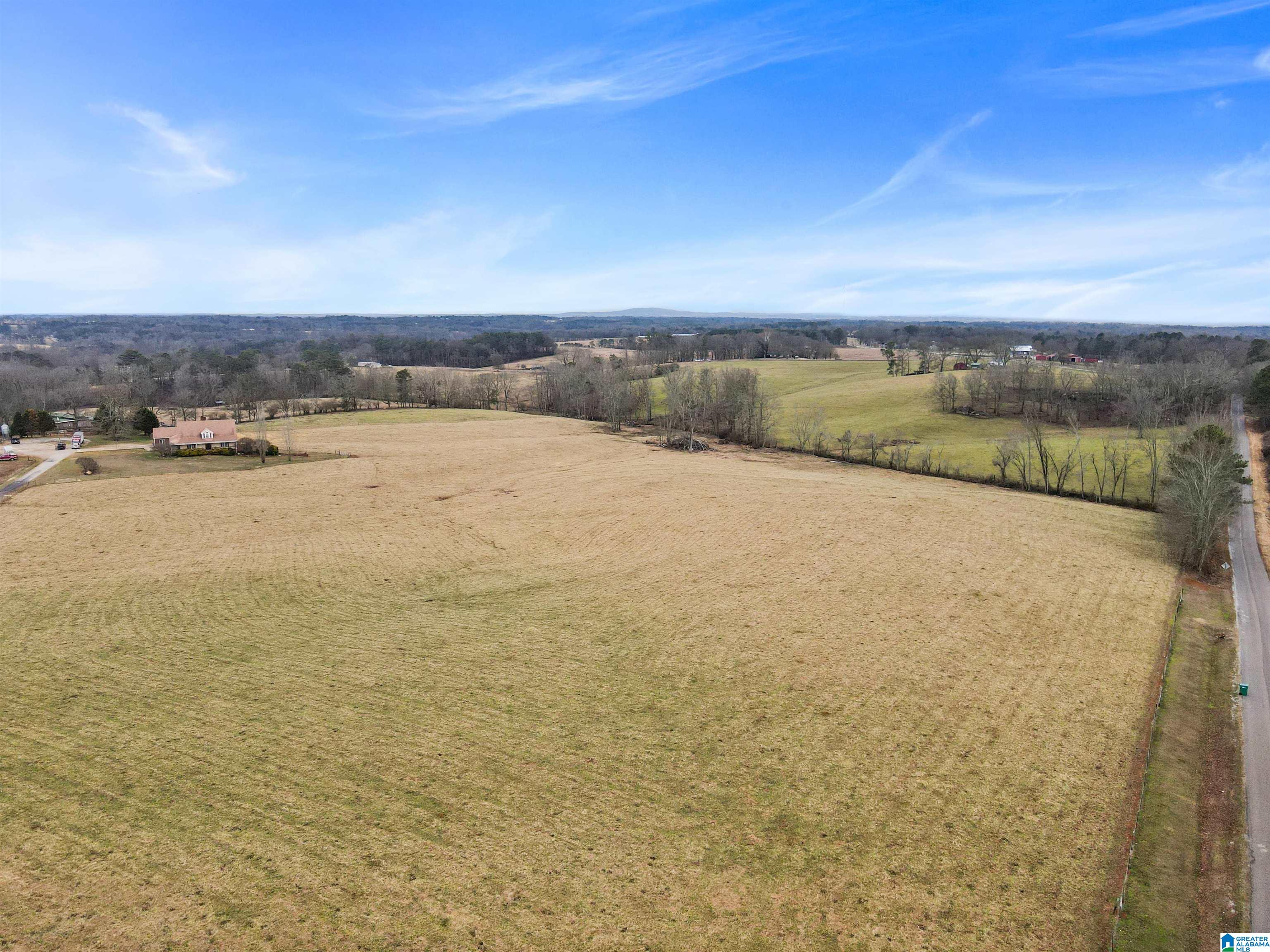 Homes for sale in Ranburne, AL | 80 County Road 624, Ranburne, AL 36273 | MLS# 21443788