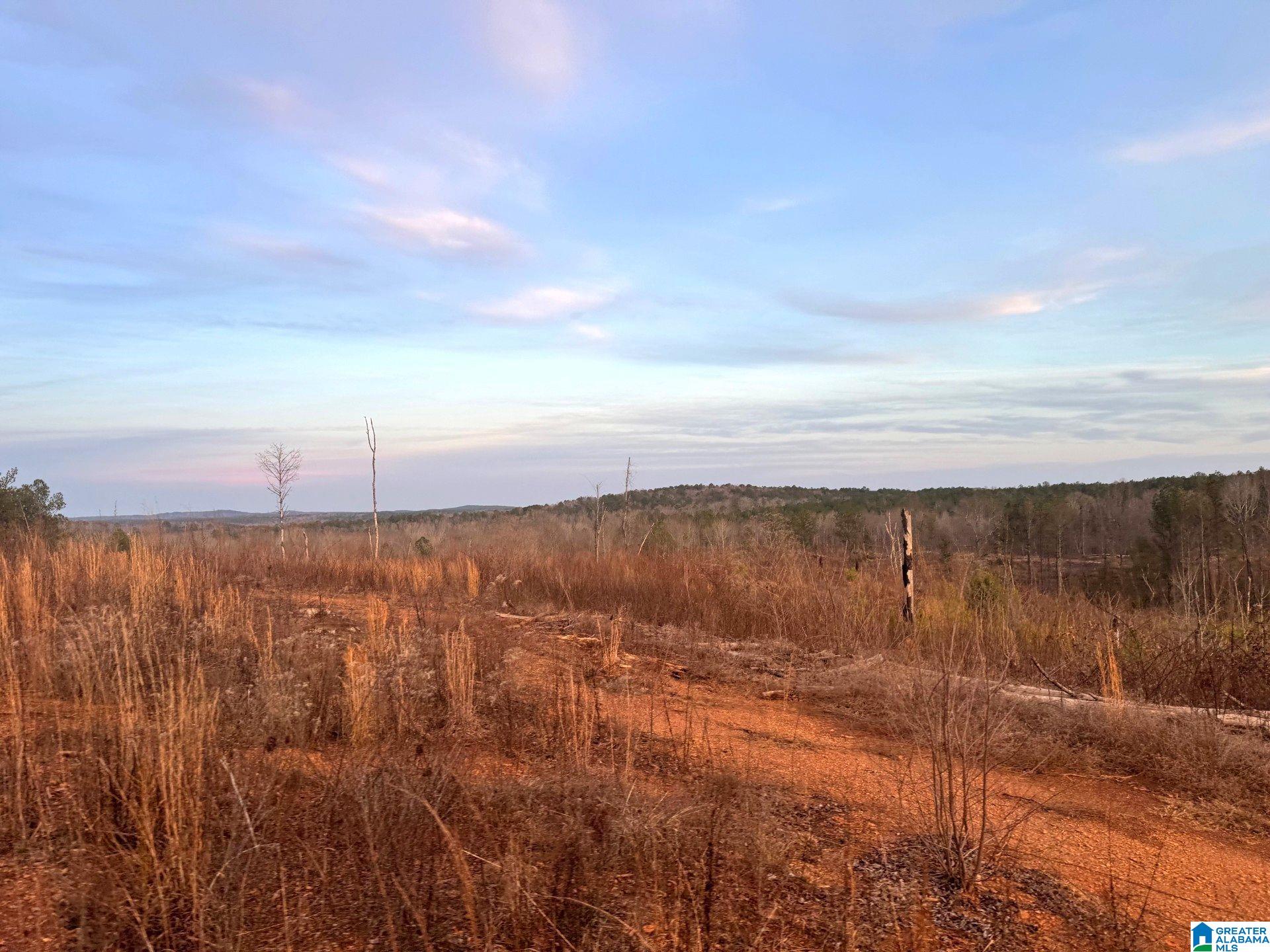 Homes for sale in Cragford, AL | Walker Road, Cragford, AL 36255 | MLS# 21443800