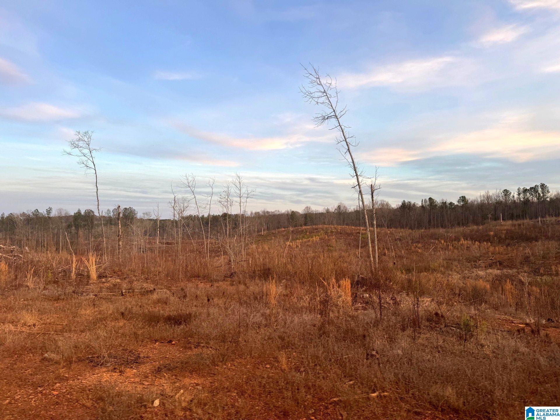 Homes for sale in Cragford, AL | Walker Road, Cragford, AL 36255 | MLS# 21443800