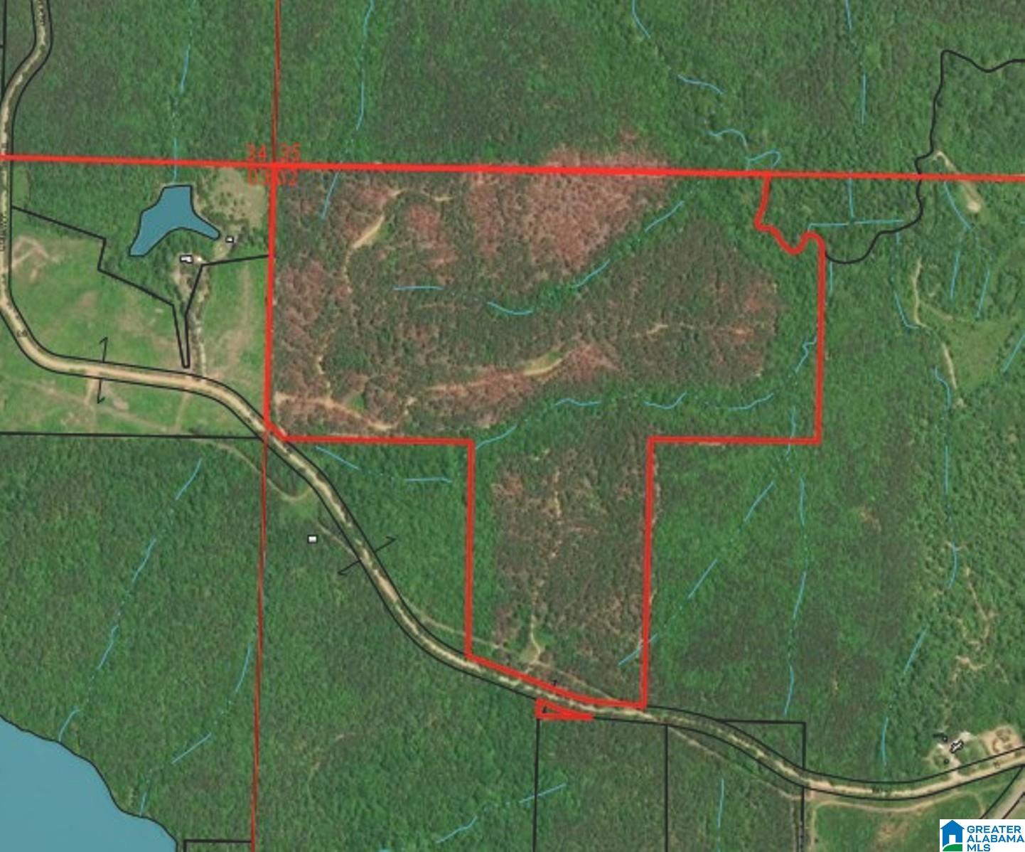 Homes for sale in Cragford, AL | Walker Road, Cragford, AL 36255 | MLS# 21443800