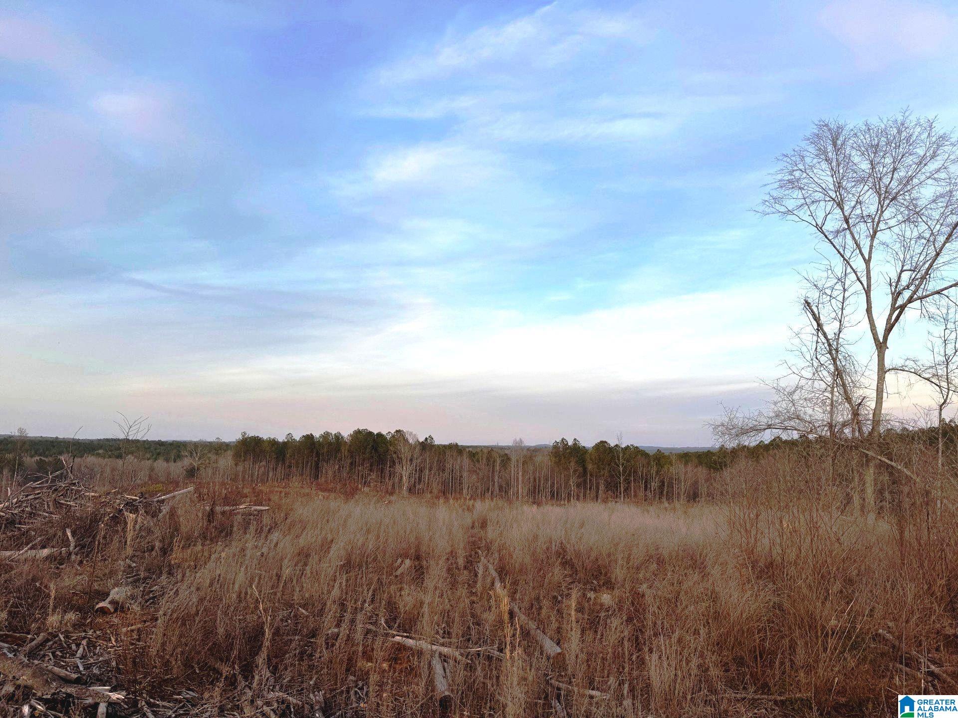 Homes for sale in Cragford, AL | Walker Road, Cragford, AL 36255 | MLS# 21443800