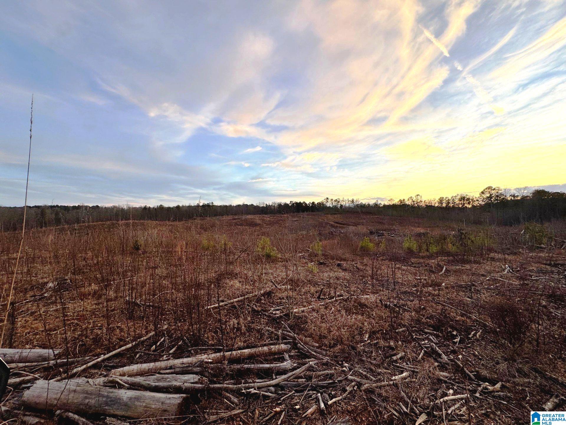 Homes for sale in Cragford, AL | Walker Road, Cragford, AL 36255 | MLS# 21443800