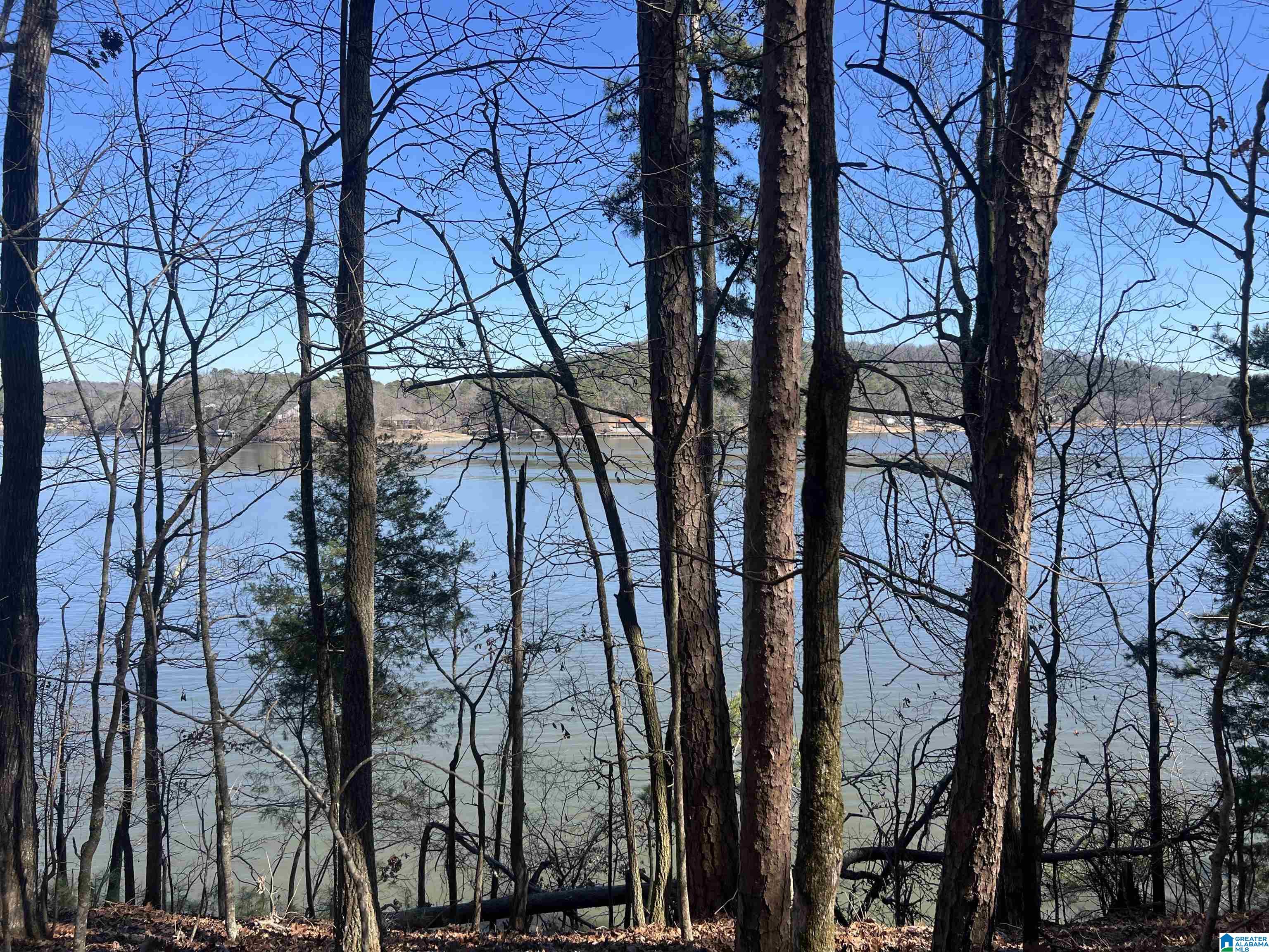 Homes for sale in Cropwell, AL | Lot 29 Waites Dr N, Cropwell, AL 35054 | MLS# 21443815