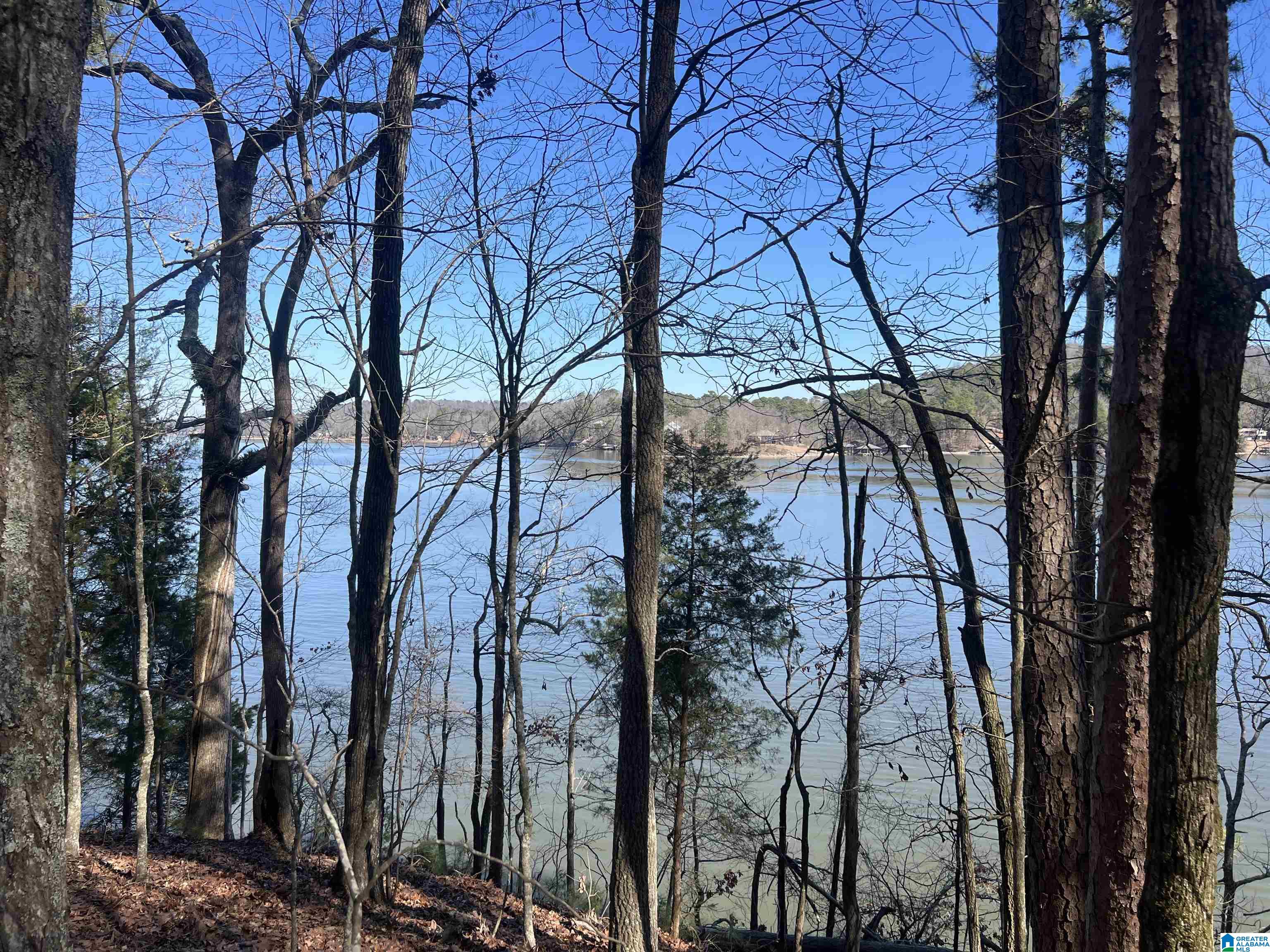 Homes for sale in Cropwell, AL | Lot 29 Waites Dr N, Cropwell, AL 35054 | MLS# 21443815