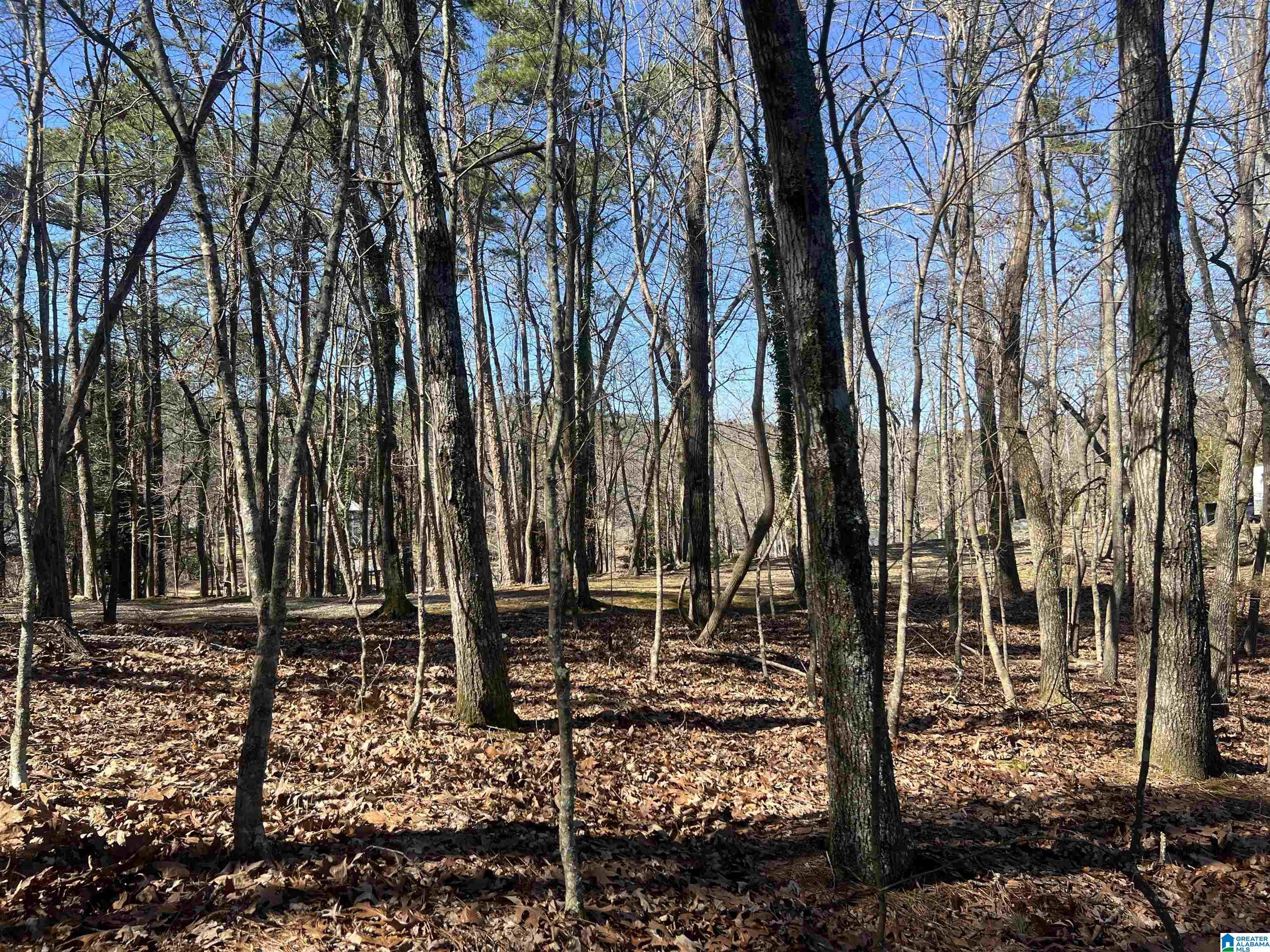 Homes for sale in Cropwell, AL | Lot 29 Waites Dr N, Cropwell, AL 35054 | MLS# 21443815