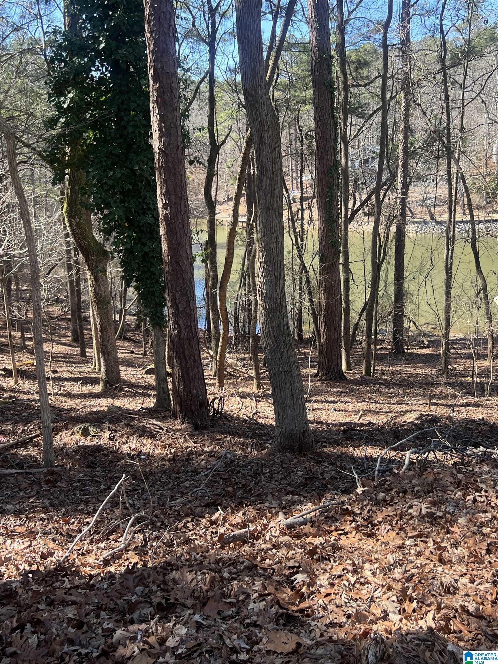 Homes for sale in Cropwell, AL | Lot 29 Waites Dr N, Cropwell, AL 35054 | MLS# 21443815