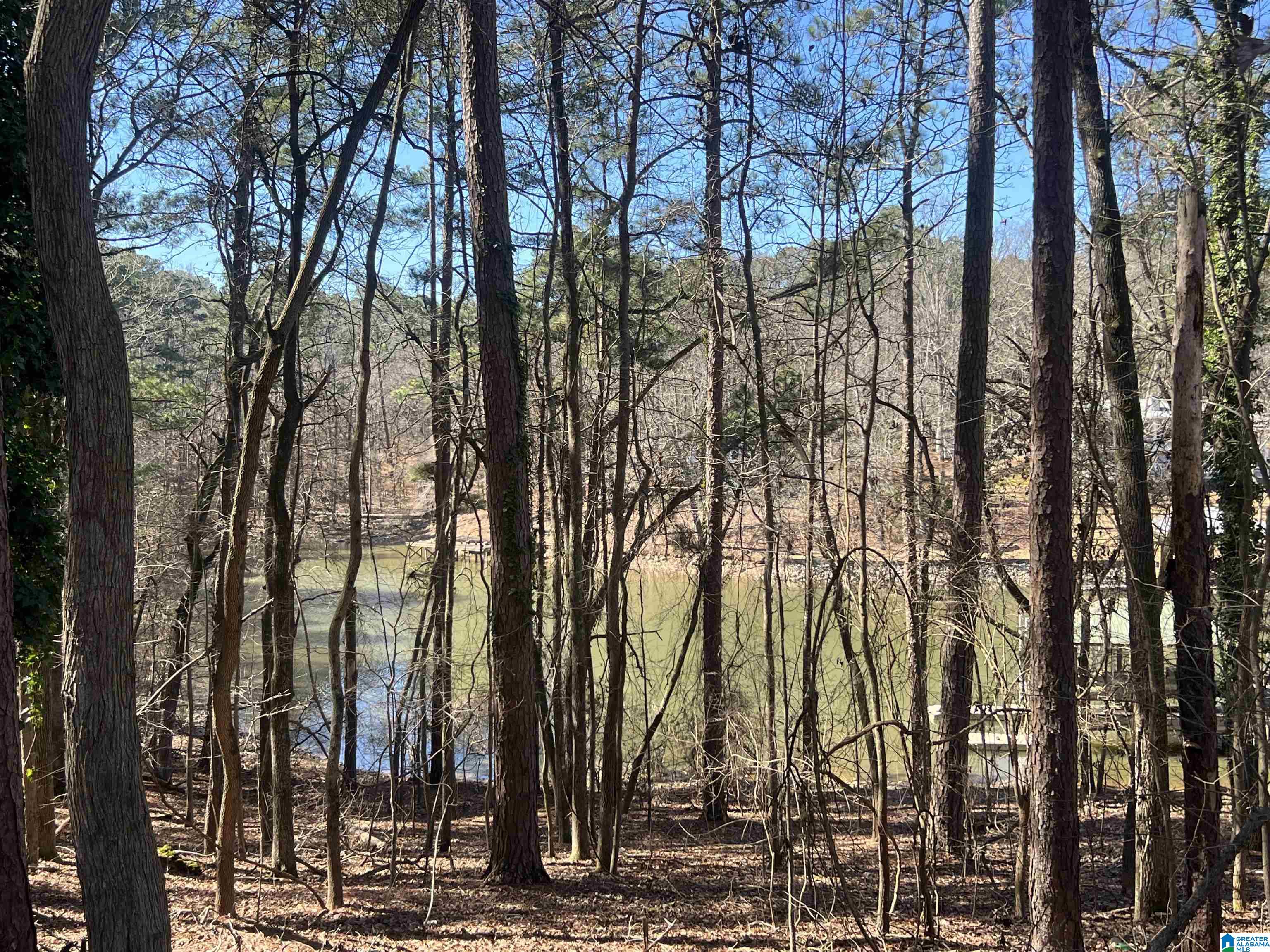 Homes for sale in Cropwell, AL | Lot 29 Waites Dr N, Cropwell, AL 35054 | MLS# 21443815