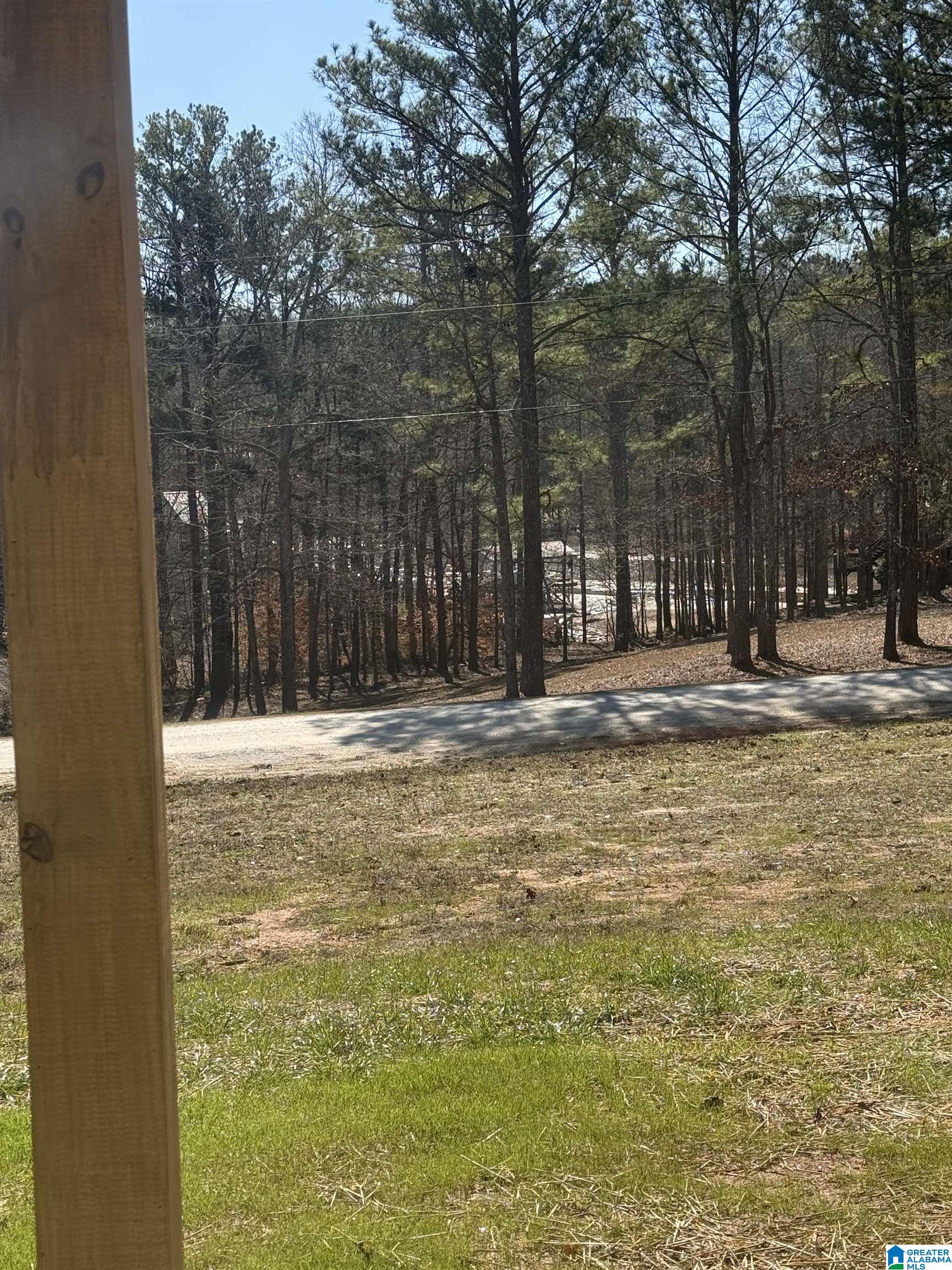 Homes for sale in Wedowee, AL | 94 Lakewood Dr, Wedowee, AL 36278 | MLS# 21443844