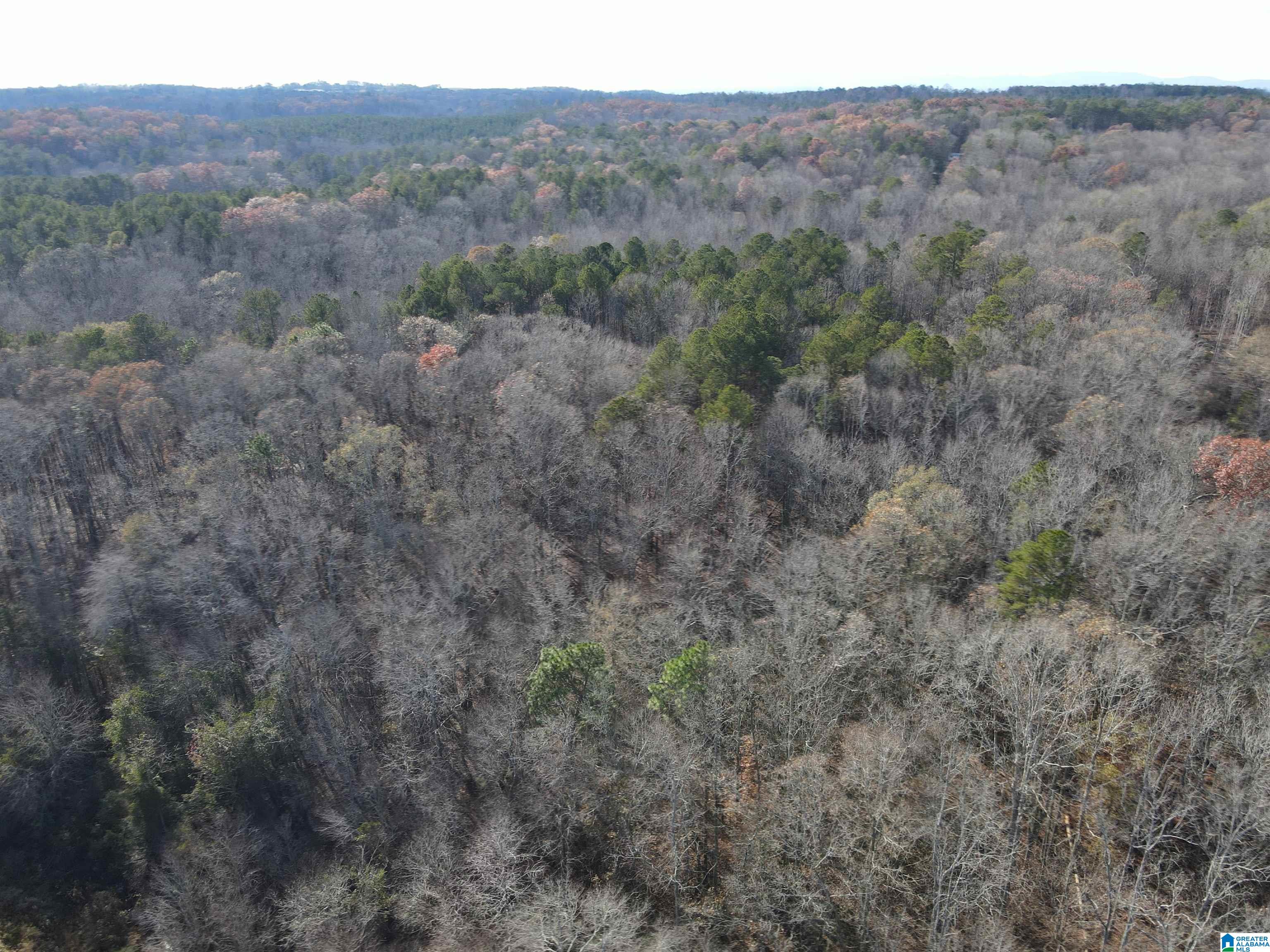 Homes for sale in Heflin, AL | 0 County Road 208, Heflin, AL 36264 | MLS# 21443871