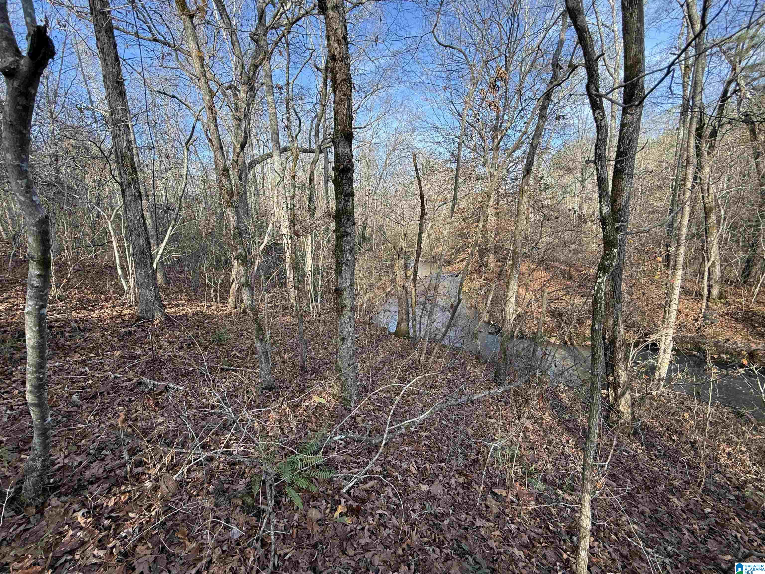 Homes for sale in Heflin, AL | 0 County Road 208, Heflin, AL 36264 | MLS# 21443871