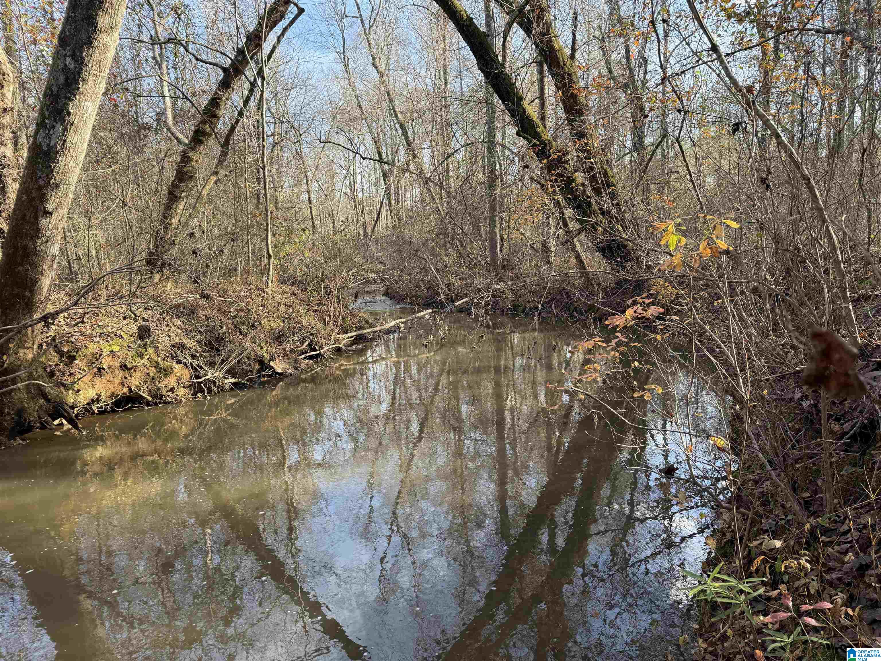 Homes for sale in Heflin, AL | 0 County Road 208, Heflin, AL 36264 | MLS# 21443871