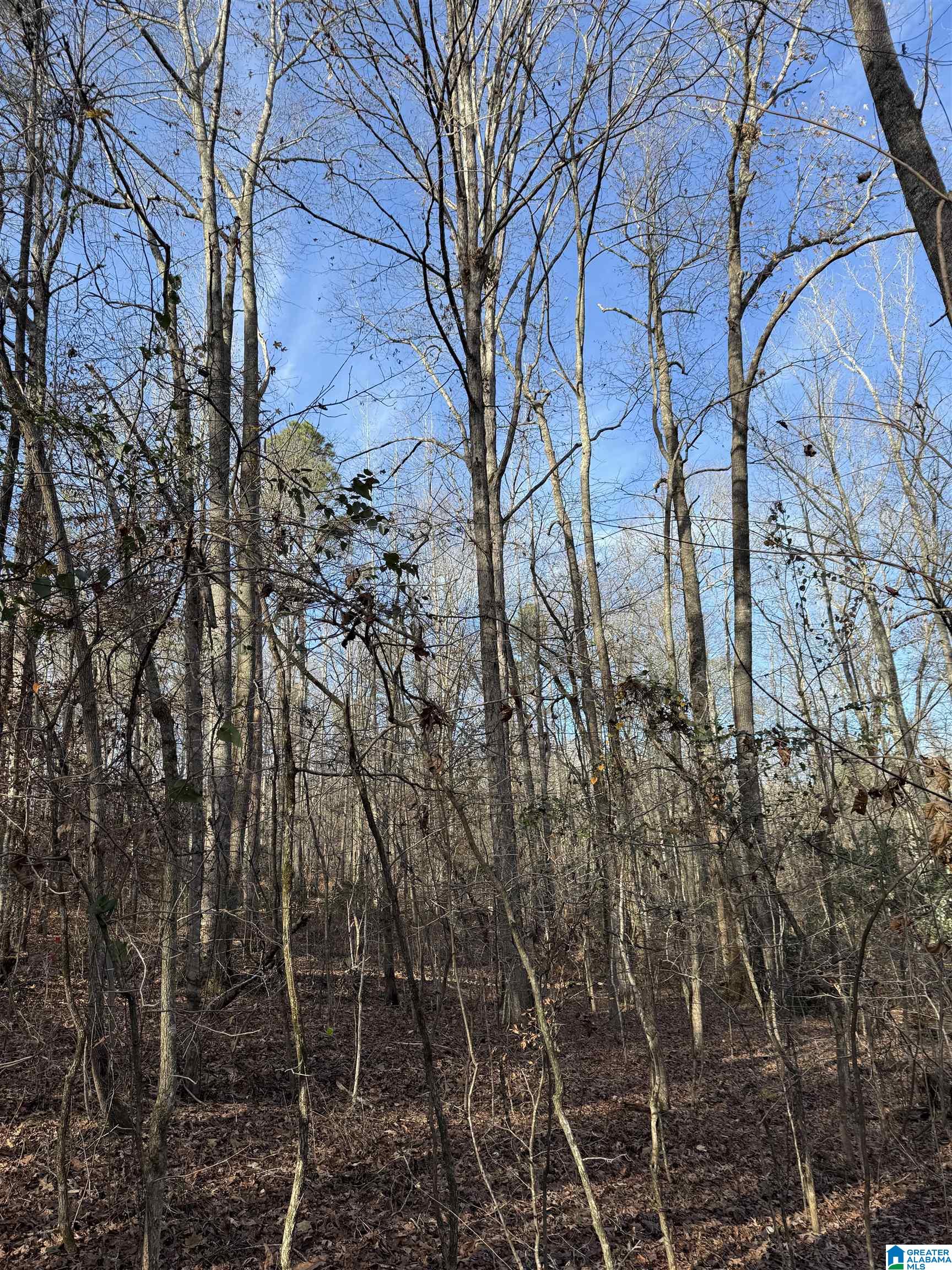 Homes for sale in Heflin, AL | 0 County Road 208, Heflin, AL 36264 | MLS# 21443871