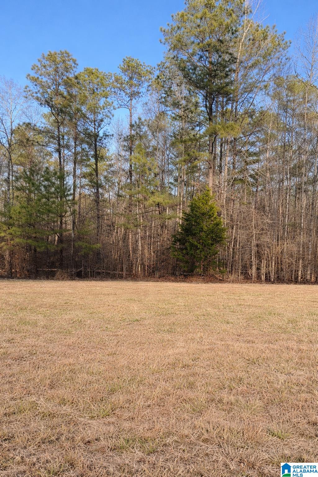 Homes for sale in Jemison, AL | Lot 2 County Road 25, Jemison, AL 35085 | MLS# 21443880