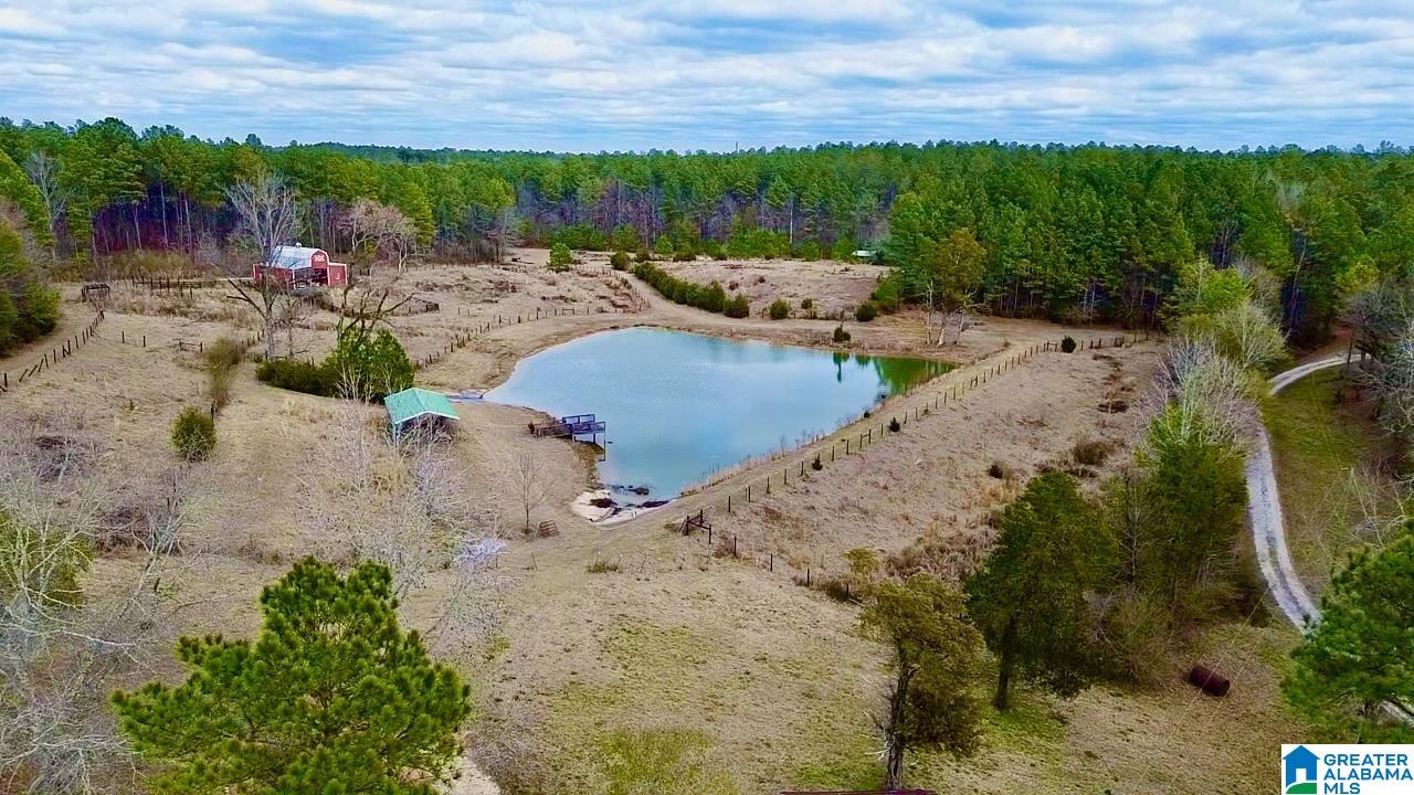 Photo 2 of Land for sale at 576 Gun Lock Rd, Montevallo, AL 35115 | MLS# 21443915 | Listing updated on 2026-02-18
