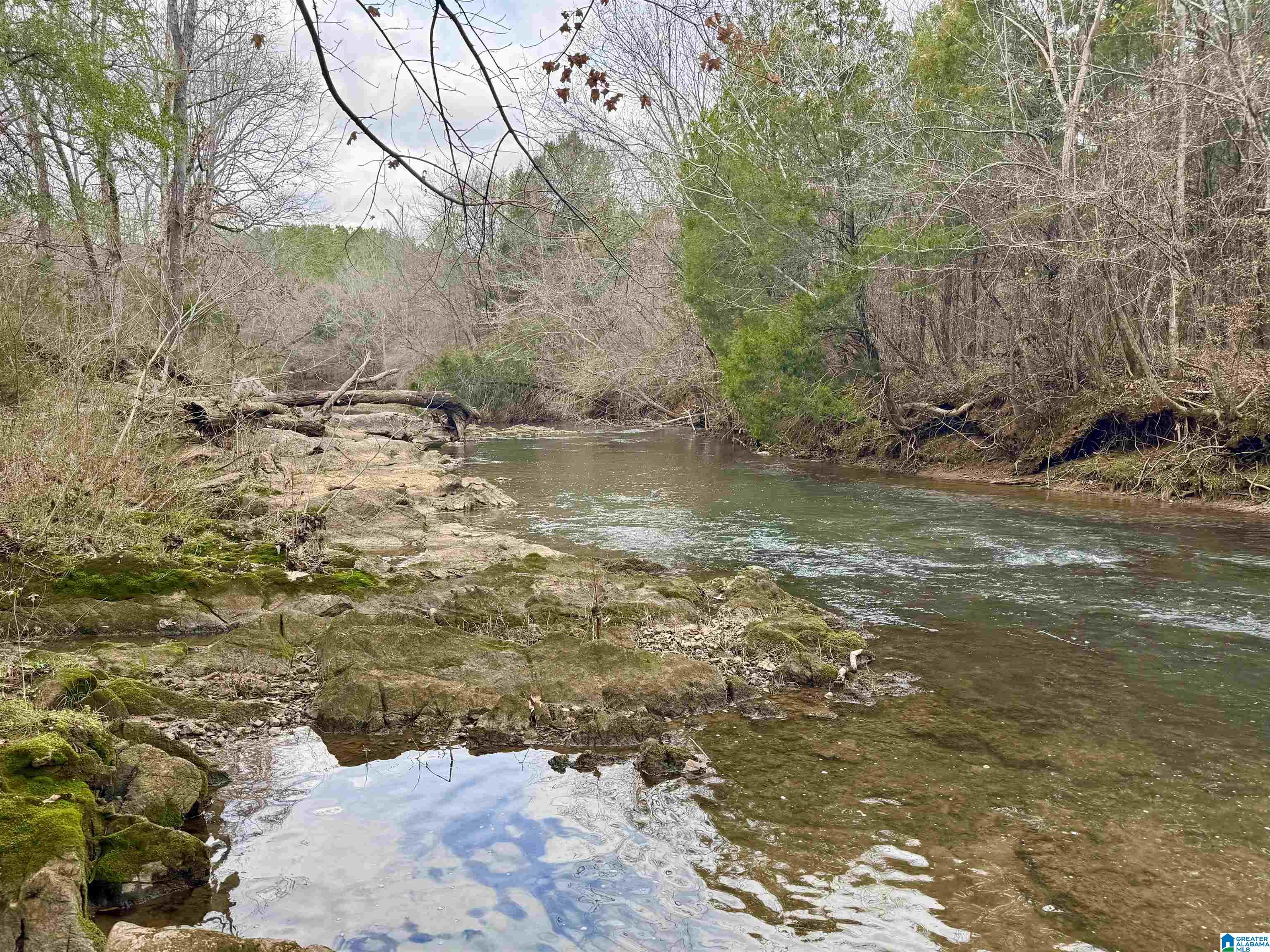 Photo 3 of Land for sale at 576 Gun Lock Rd, Montevallo, AL 35115 | MLS# 21443915 | Listing updated on 2026-02-18
