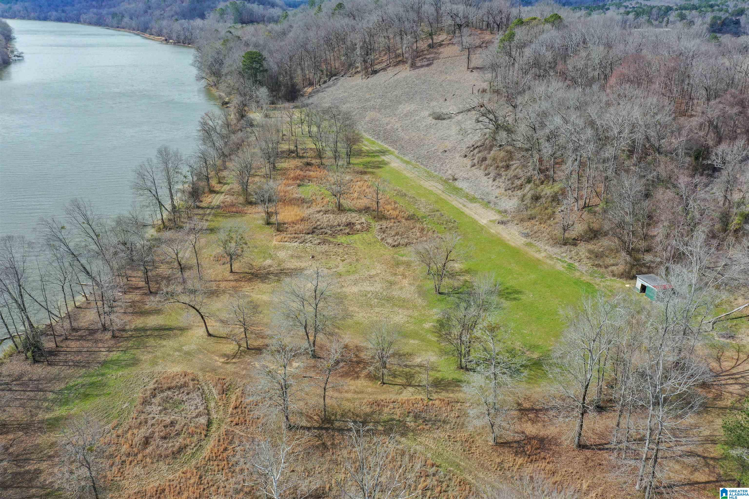 Homes for sale in Ragland, AL | 0 Al Hwy 144, Ragland, AL 35131 | MLS# 21443917