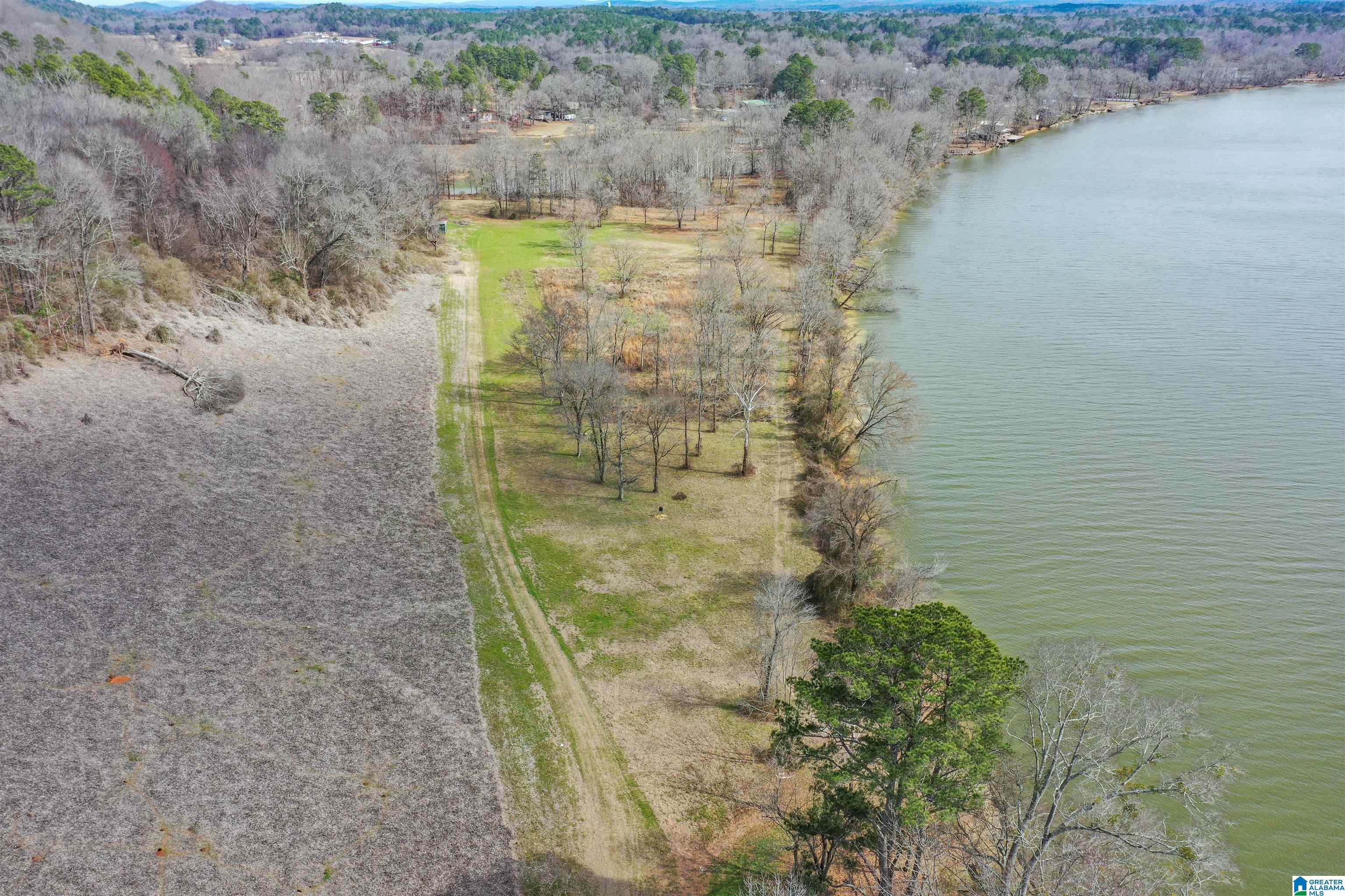Homes for sale in Ragland, AL | 0 Al Hwy 144, Ragland, AL 35131 | MLS# 21443917