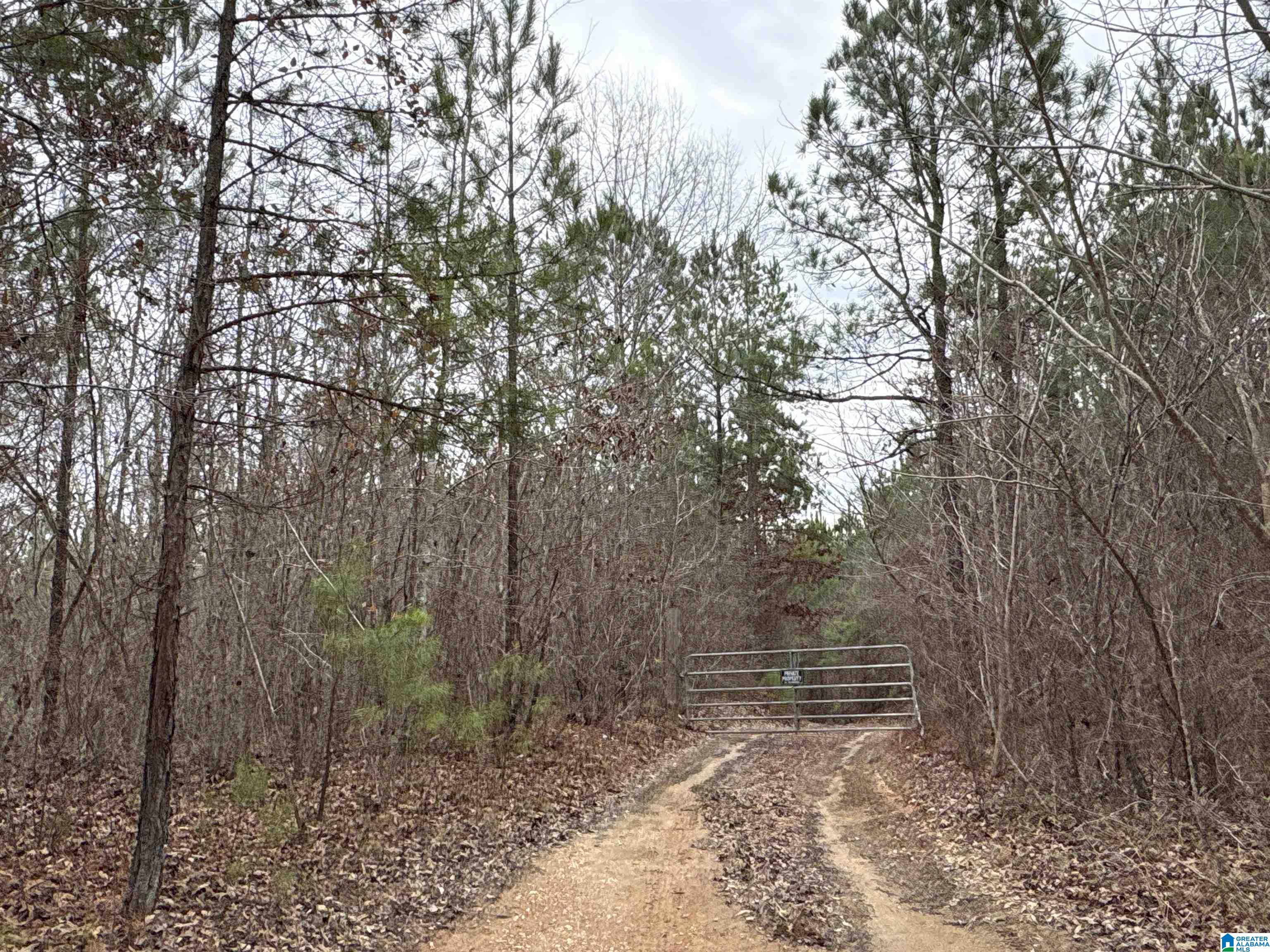 Homes for sale in Clanton, AL | 0 County Road 256, Clanton, AL 35046 | MLS# 21443971