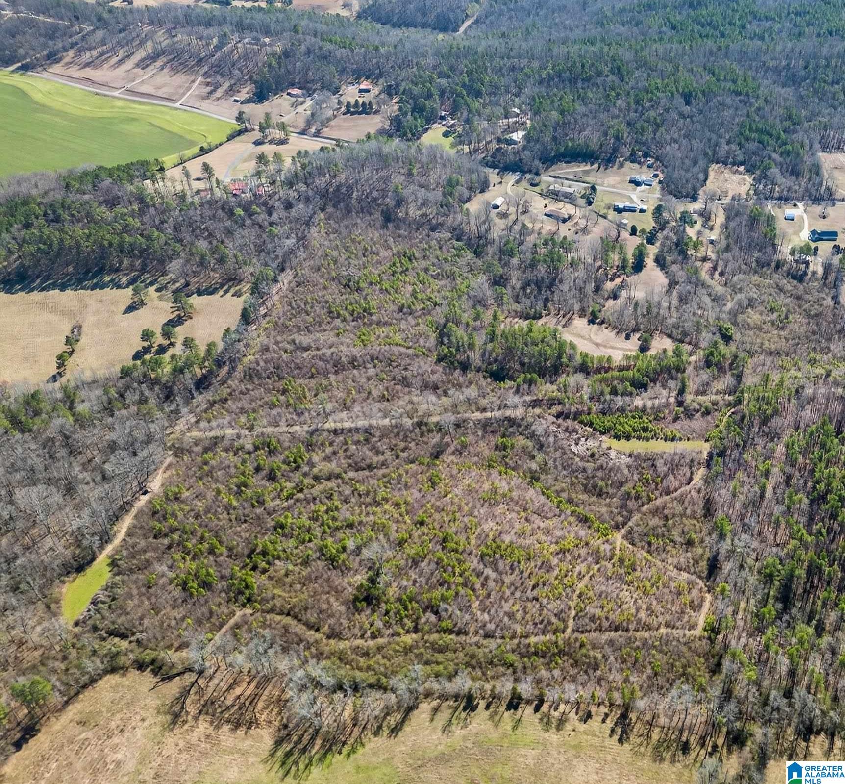 Homes for sale in Wellington, AL | 0 Wellington Road, Wellington, AL 36279 | MLS# 21443975