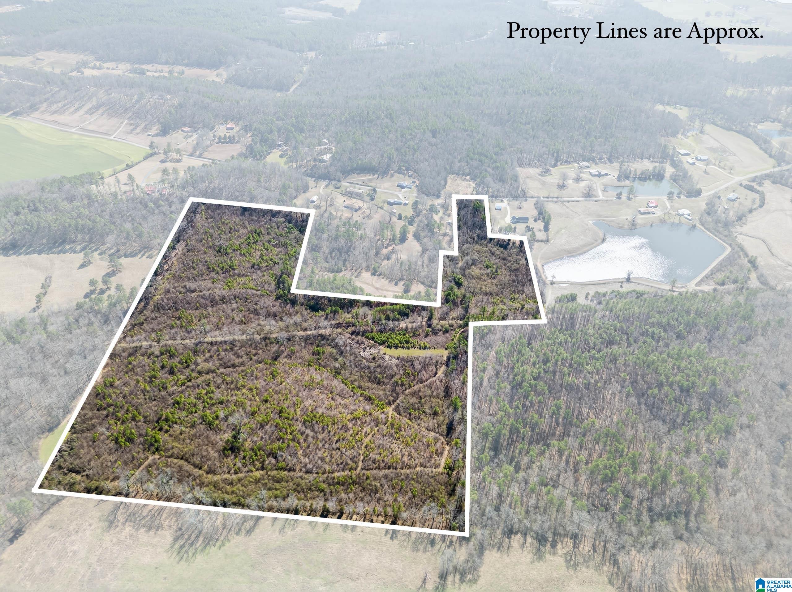 Homes for sale in Wellington, AL | 0 Wellington Road, Wellington, AL 36279 | MLS# 21443975