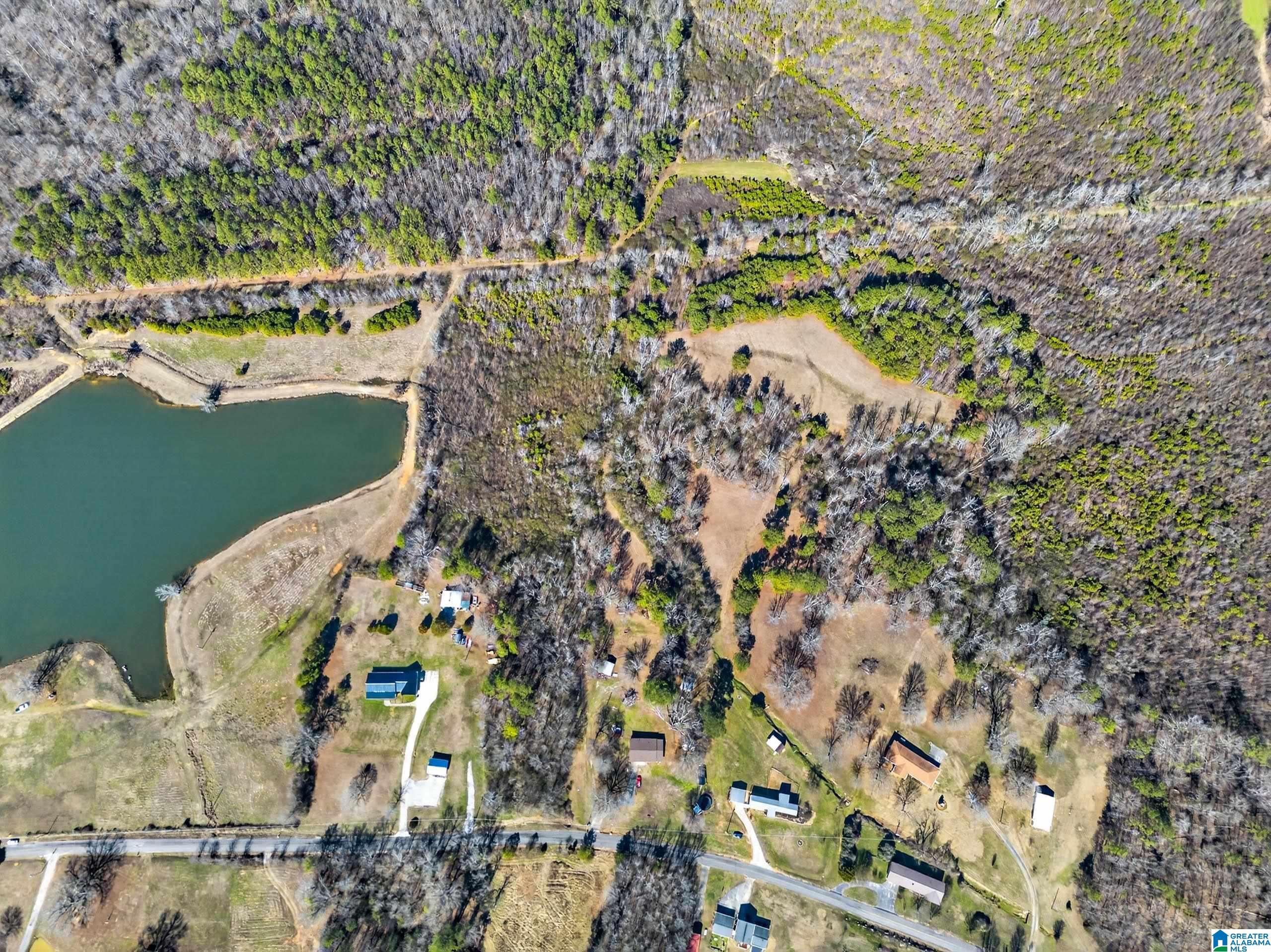 2nd image of 0 Wellington Road, Wellington, AL 36279 | MLS# 21443975
