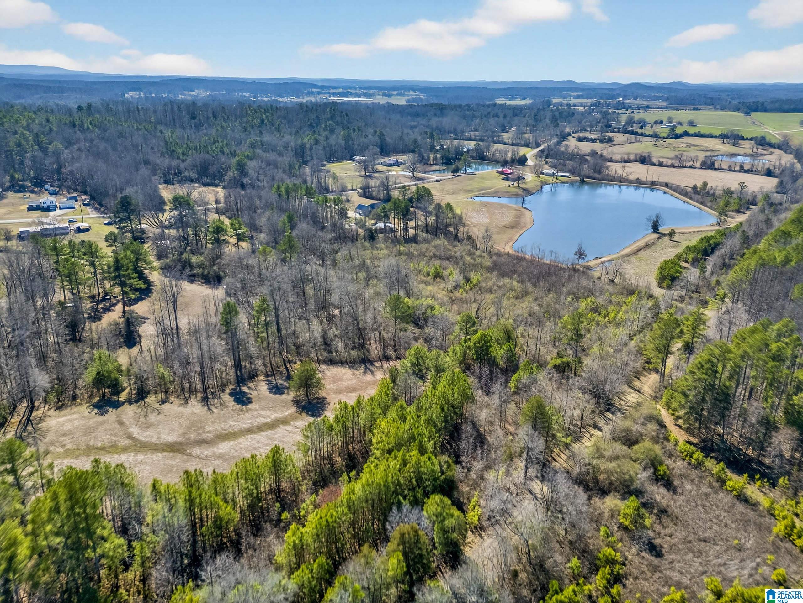 11th image of 0 Wellington Road, Wellington, AL 36279 | MLS# 21443975