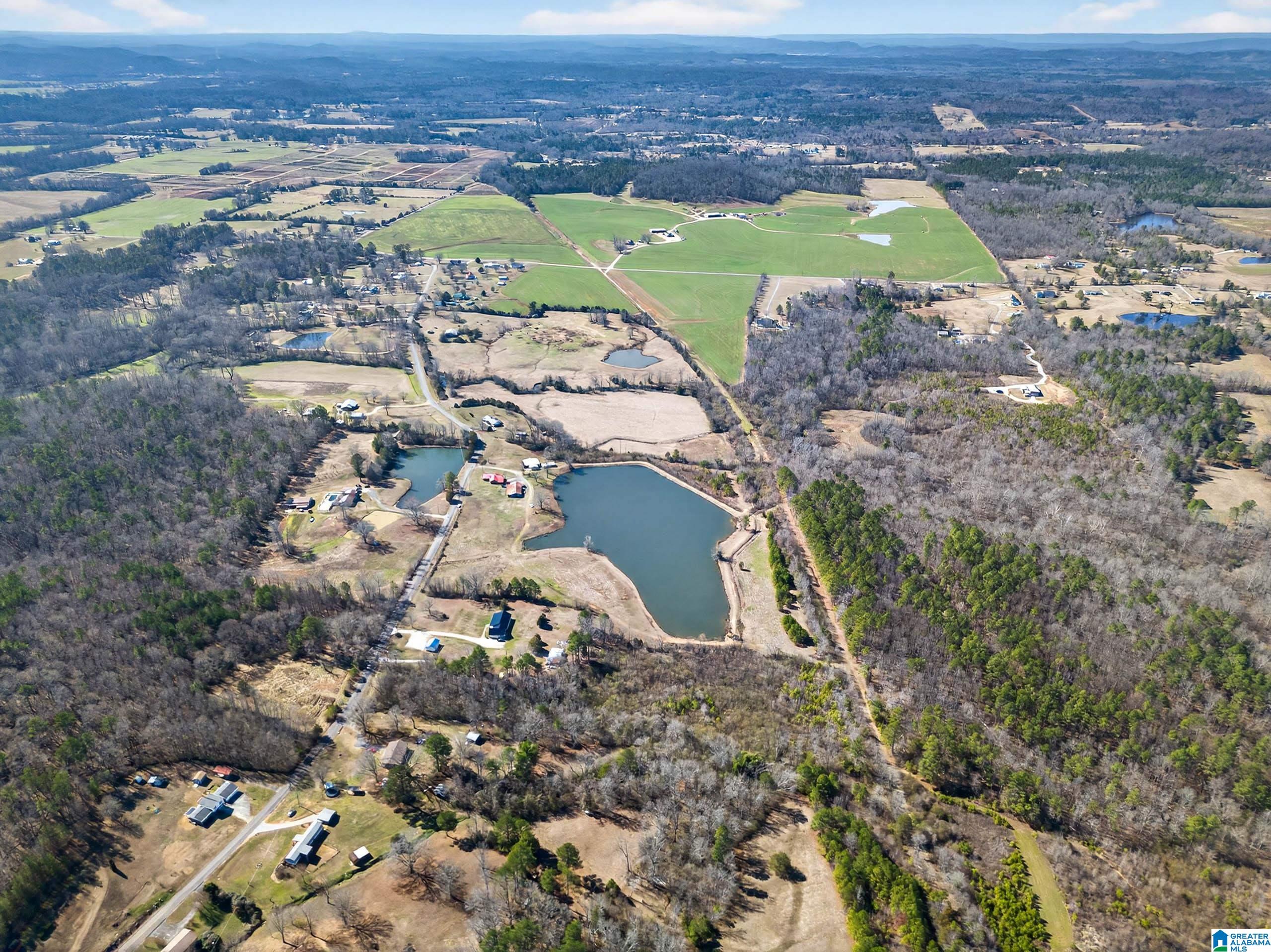 Homes for sale in Wellington, AL | 0 Wellington Road, Wellington, AL 36279 | MLS# 21443975