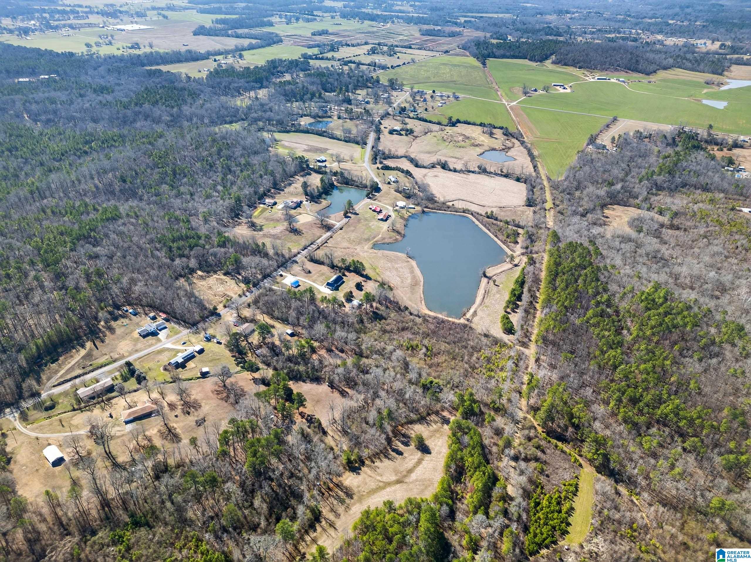 Homes for sale in Wellington, AL | 0 Wellington Road, Wellington, AL 36279 | MLS# 21443975