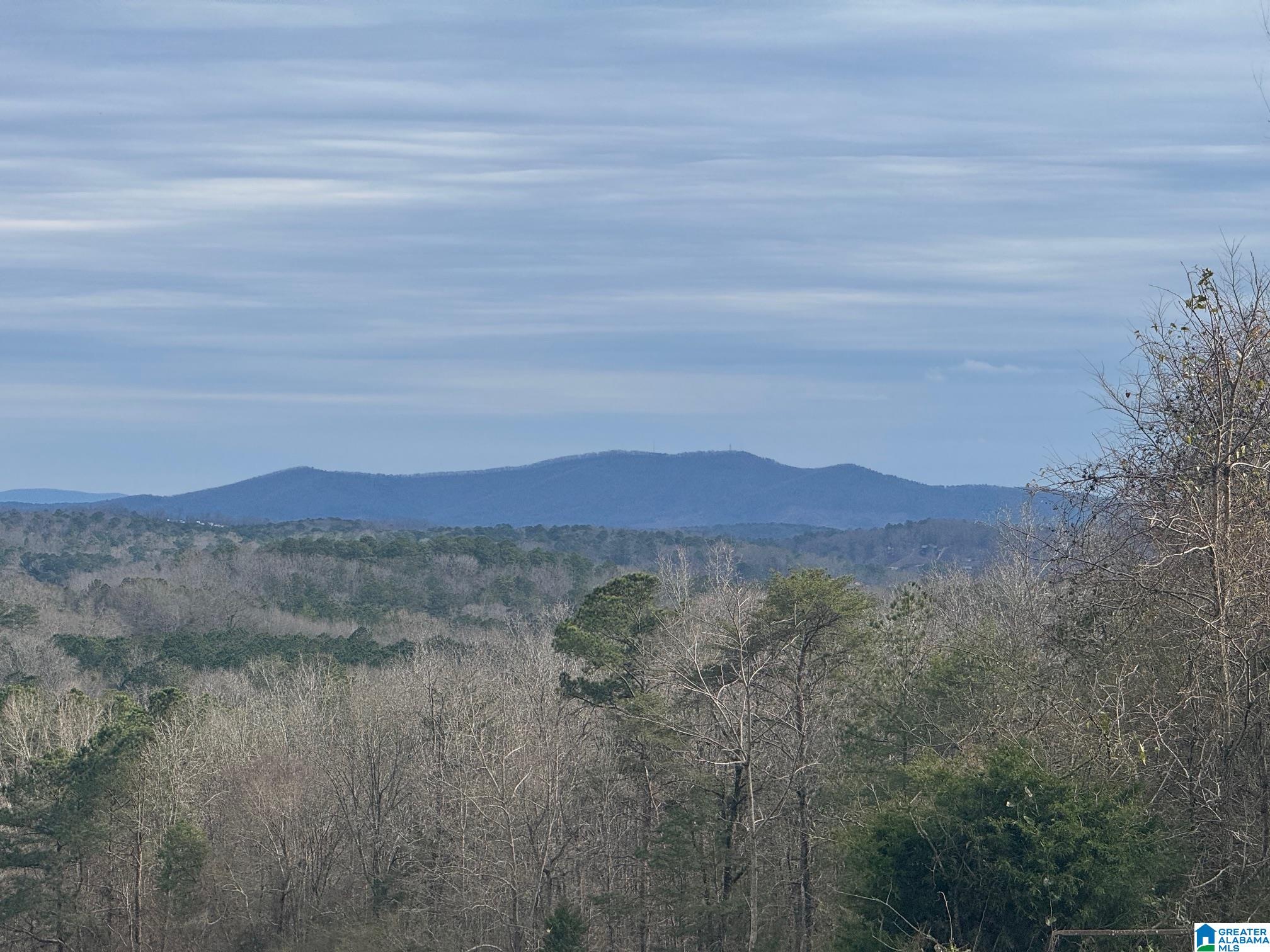 Homes for sale in Cropwell, AL | 3953 Logan Martin Dam Road, Cropwell, AL 35054 | MLS# 21443993