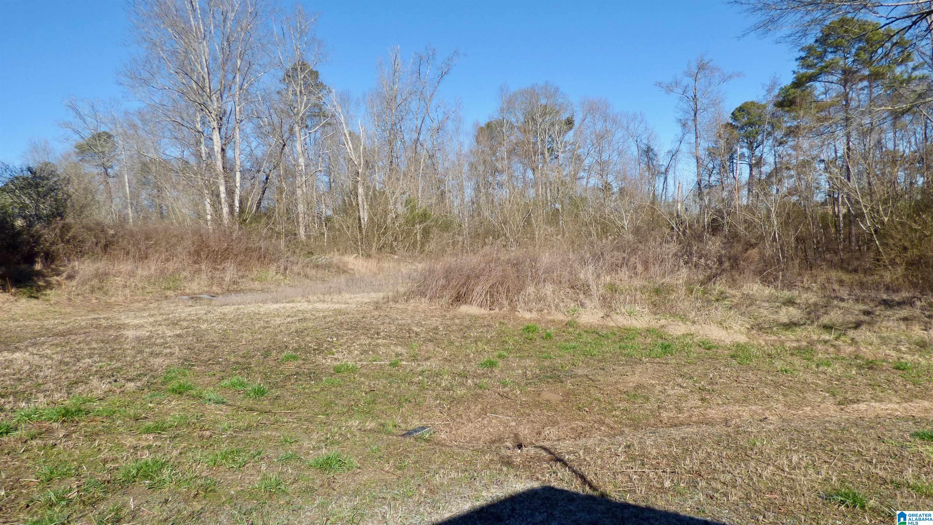 Homes for sale in Nauvoo, AL | 279 Posey Road, Nauvoo, AL 35578 | MLS# 21444003