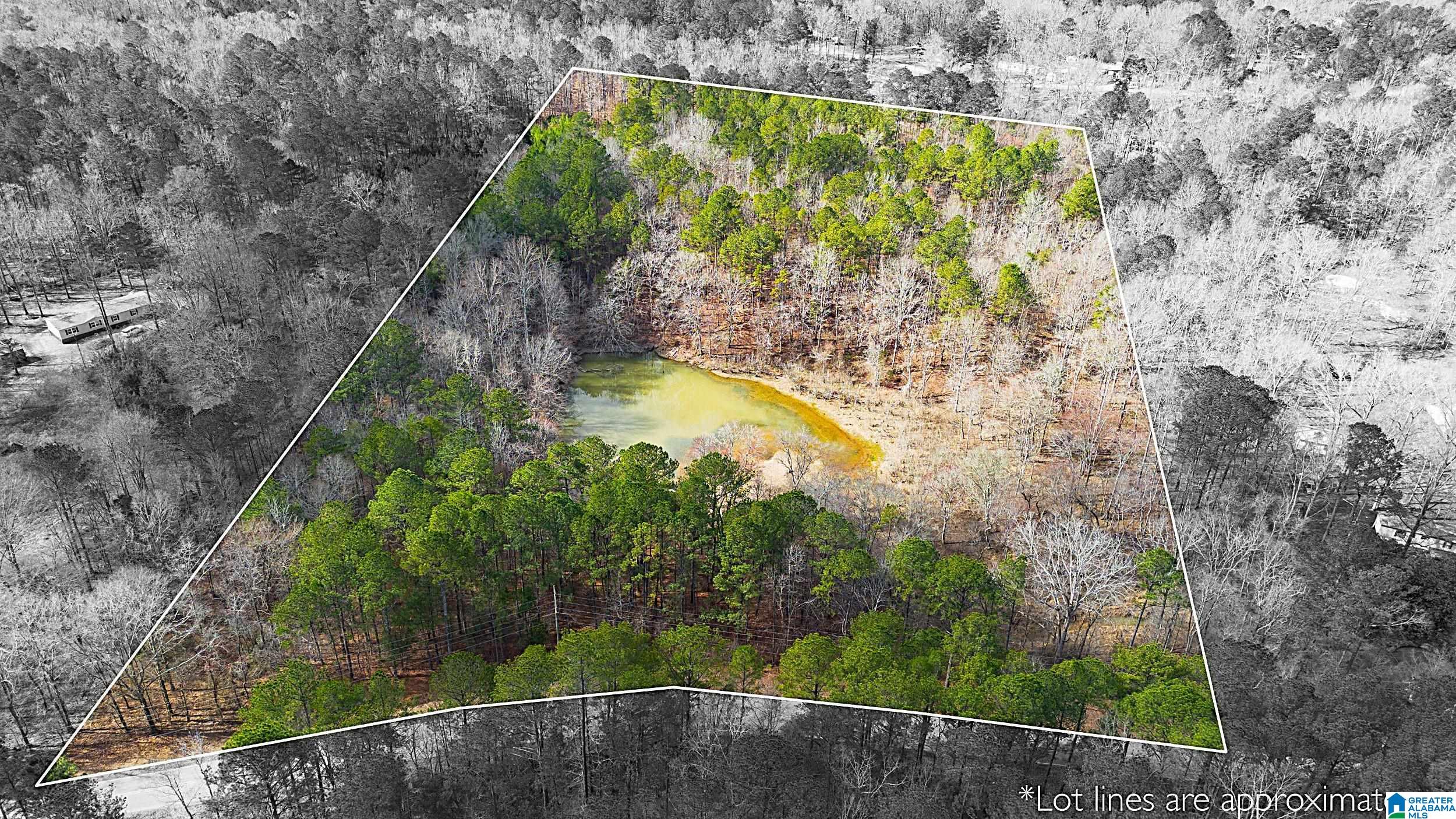 Homes for sale in Pell City, AL | 1000 1068 Camp Winnataska Road, Pell City, AL 35128 | MLS# 21444029