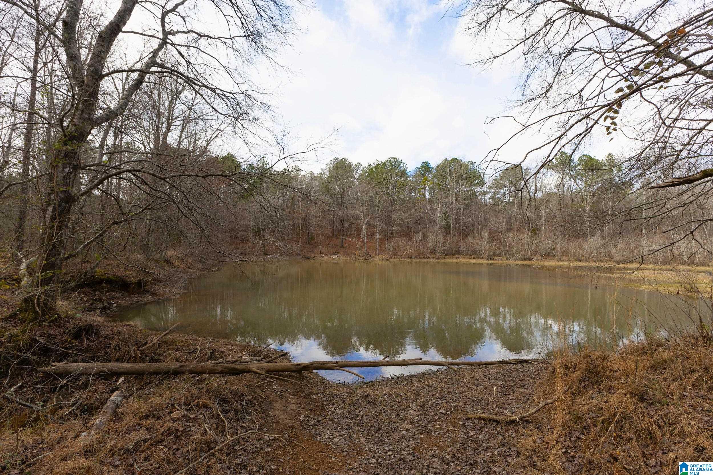 Homes for sale in Pell City, AL | 1000 1068 Camp Winnataska Road, Pell City, AL 35128 | MLS# 21444029