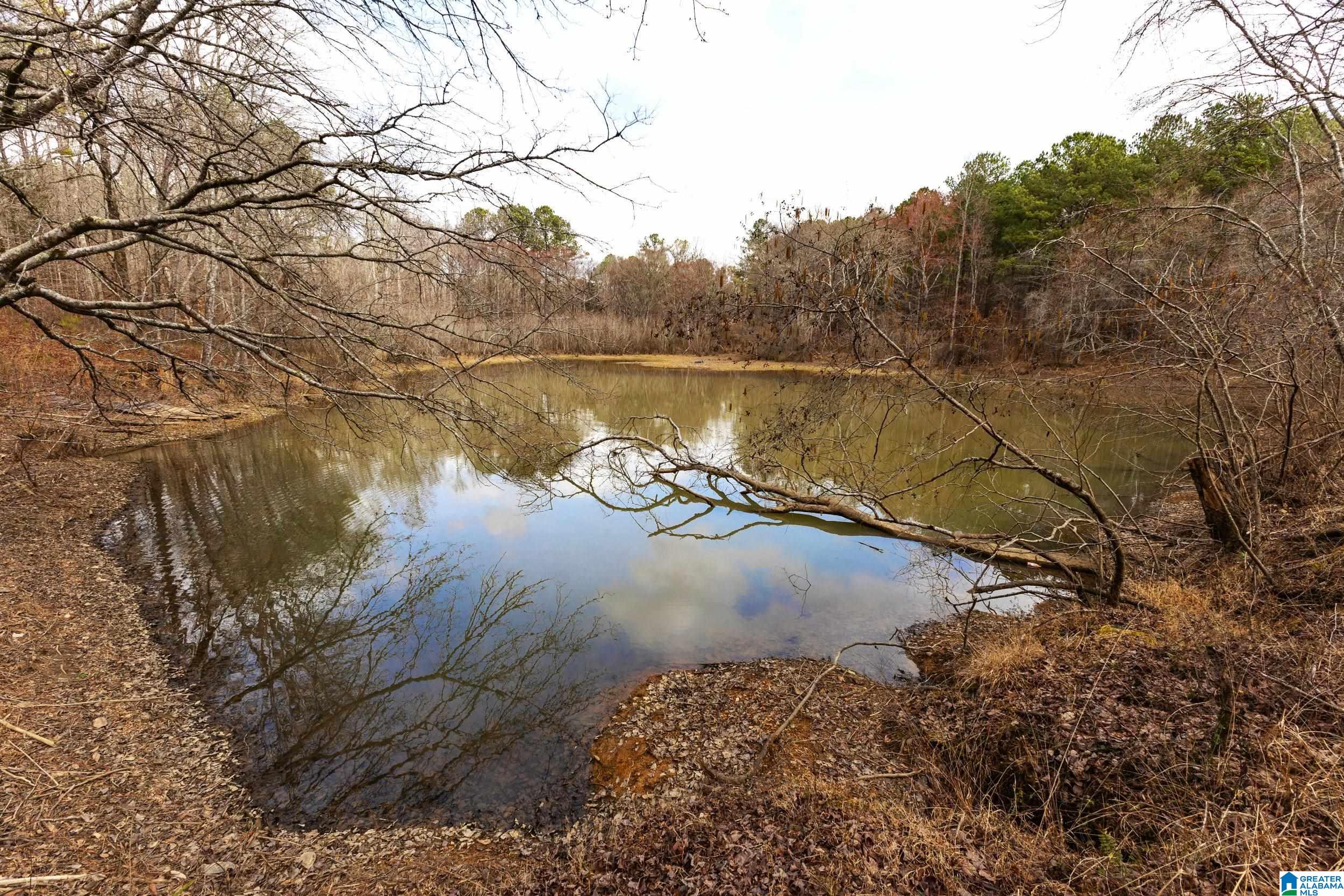 Homes for sale in Pell City, AL | 1000-1068 Camp Winnataska Road, Pell City, AL 35128 | MLS# 21444029