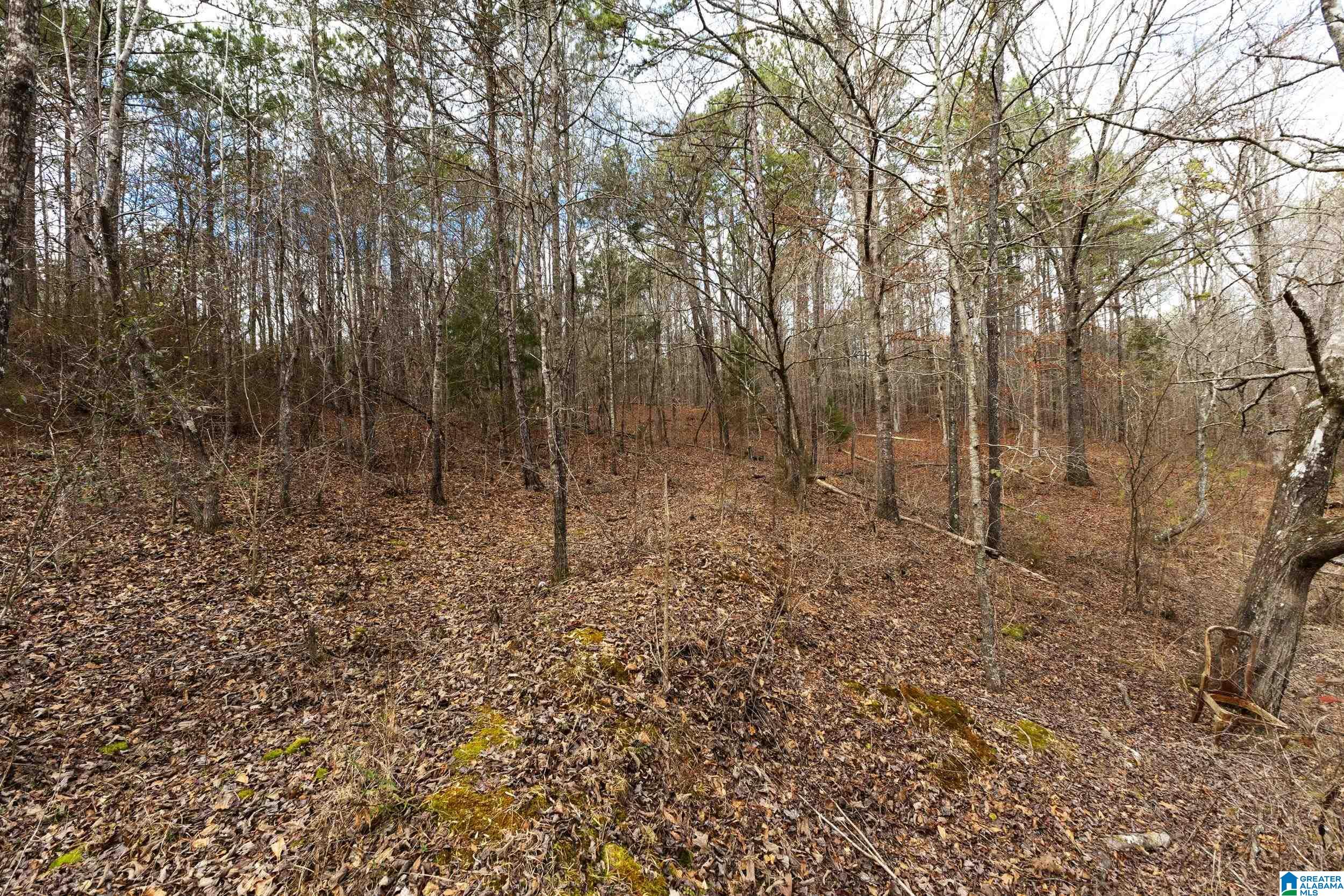 Homes for sale in Pell City, AL | 1000-1068 Camp Winnataska Road, Pell City, AL 35128 | MLS# 21444029