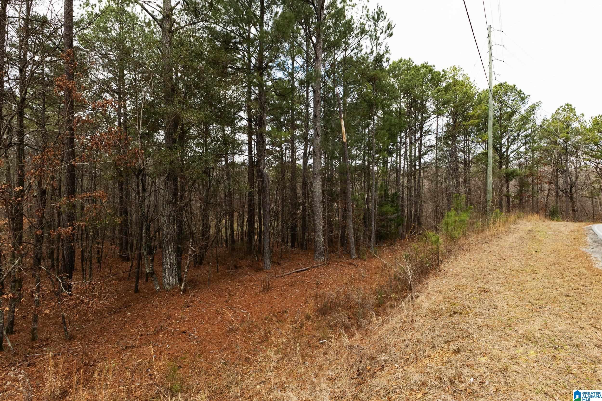 Homes for sale in Pell City, AL | 1000-1068 Camp Winnataska Road, Pell City, AL 35128 | MLS# 21444029