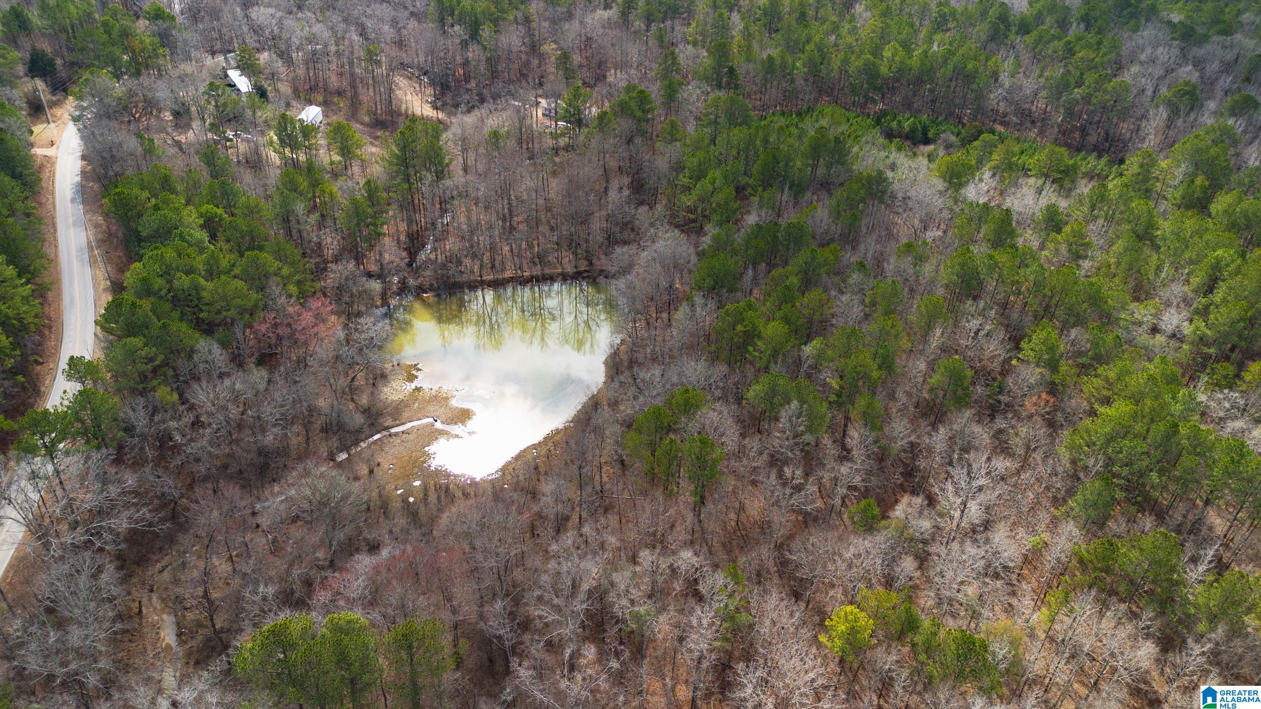 Homes for sale in Pell City, AL | 1000 1068 Camp Winnataska Road, Pell City, AL 35128 | MLS# 21444029