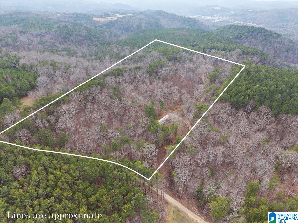 Homes for sale in Oneonta, AL | 1484 Waid Road, Oneonta, AL 35121 | MLS# 21444051