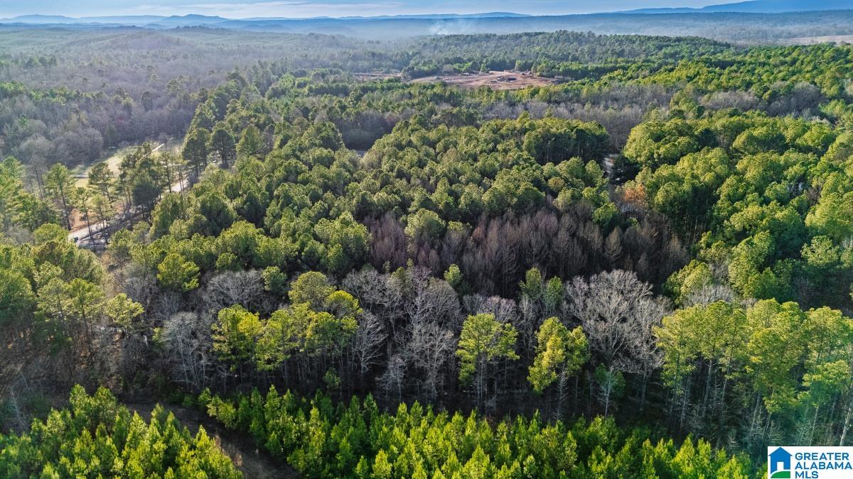 Homes for sale in Pell City, AL | 90 Stevens Dr, Pell City, AL 35128 | MLS# 21444059