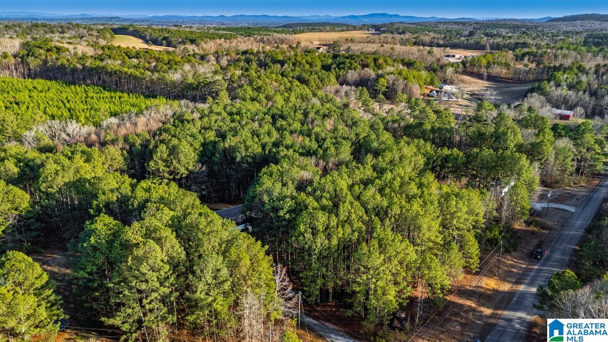 Homes for sale in Pell City, AL | 90 Stevens Dr, Pell City, AL 35128 | MLS# 21444059