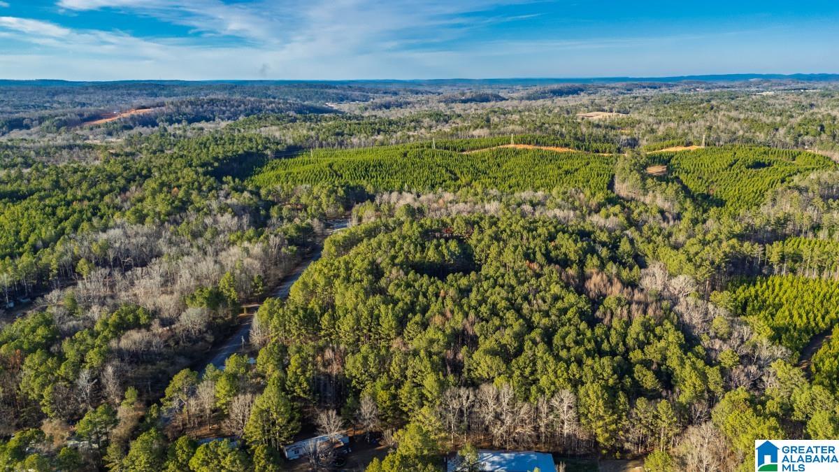 Homes for sale in Pell City, AL | 90 Stevens Dr, Pell City, AL 35128 | MLS# 21444059