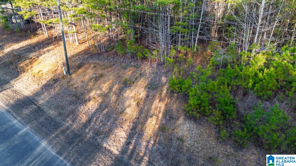 Homes for sale in Pell City, AL | 90 Stevens Dr, Pell City, AL 35128 | MLS# 21444059