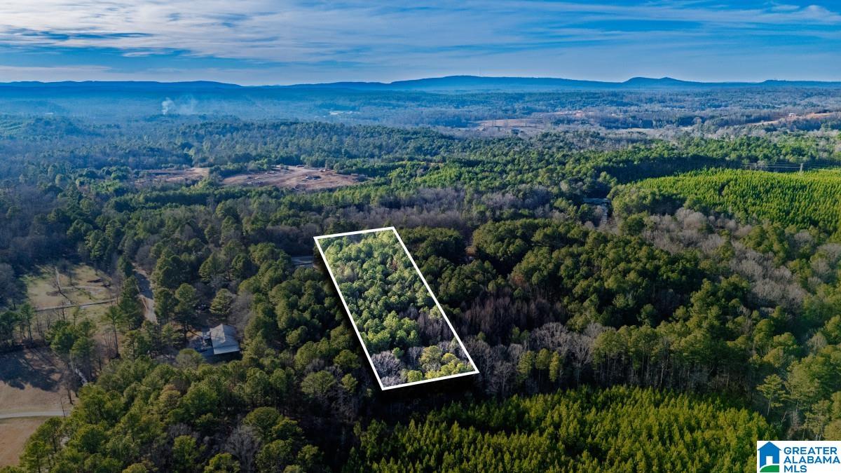 Homes for sale in Pell City, AL | 90 Stevens Dr, Pell City, AL 35128 | MLS# 21444059