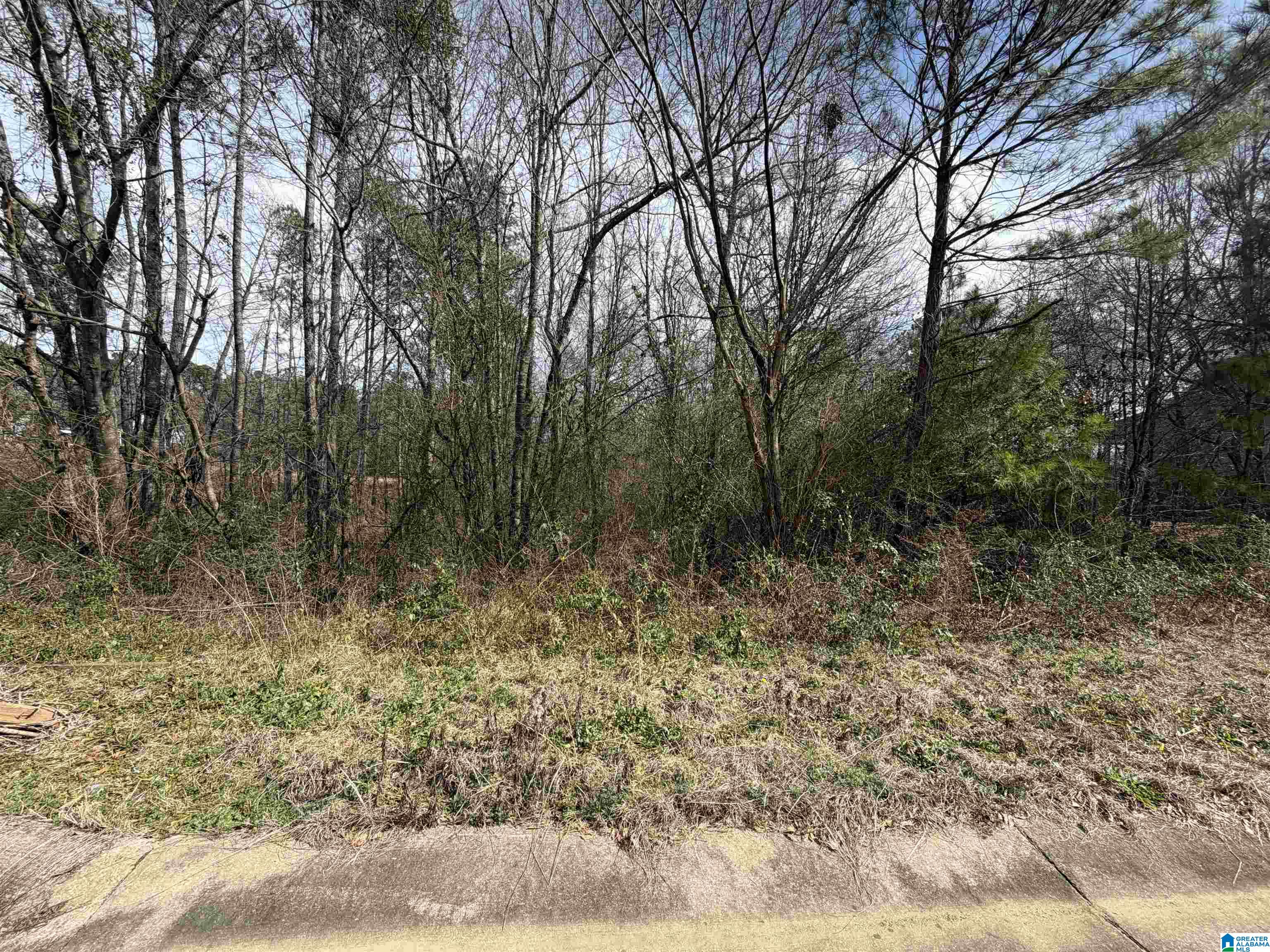 Homes for sale in Pell City, AL | 1112 Baylor Court, Pell City, AL 35125 | MLS# 21444081