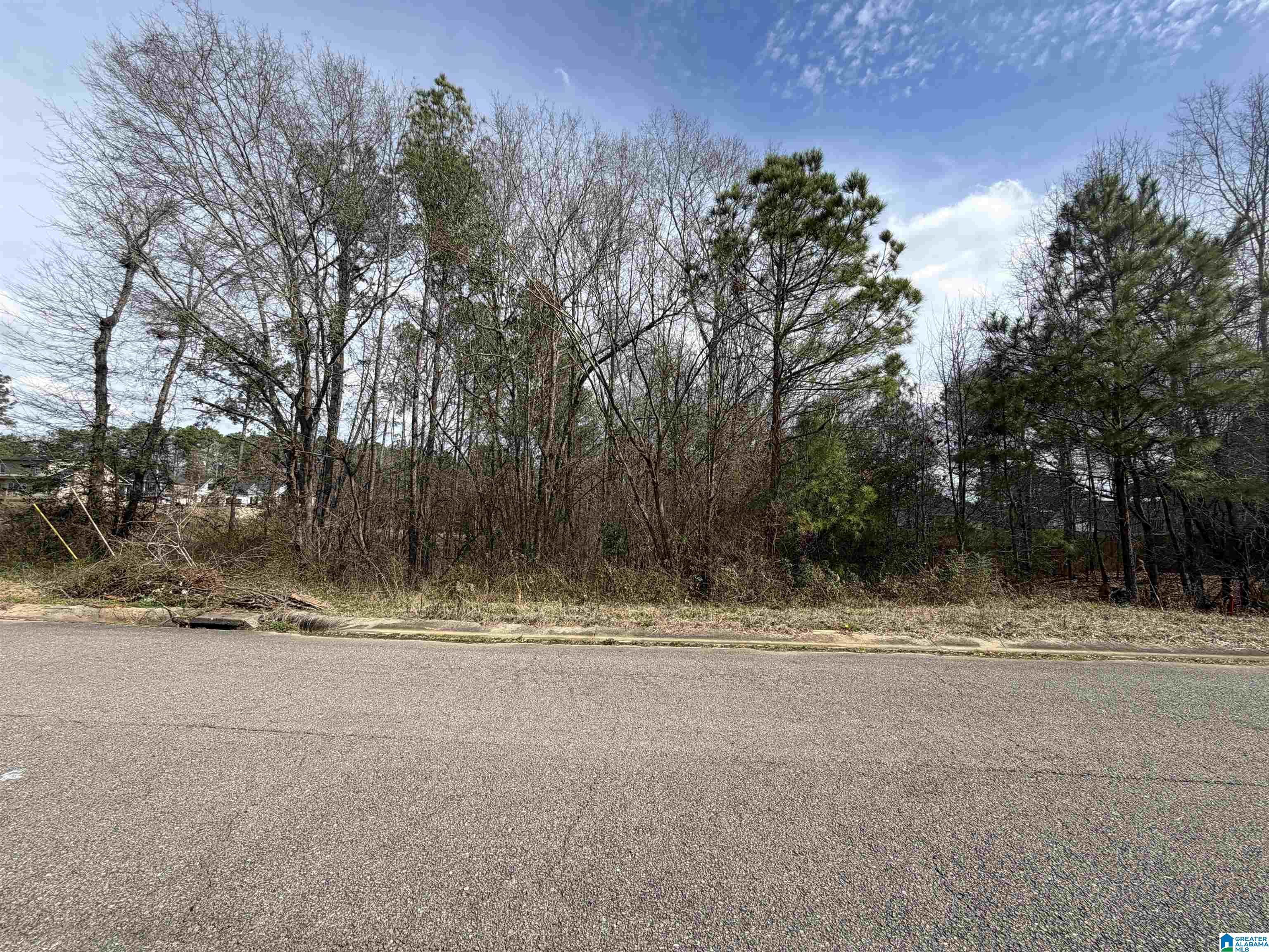 Homes for sale in Pell City, AL | 1112 Baylor Court, Pell City, AL 35125 | MLS# 21444081