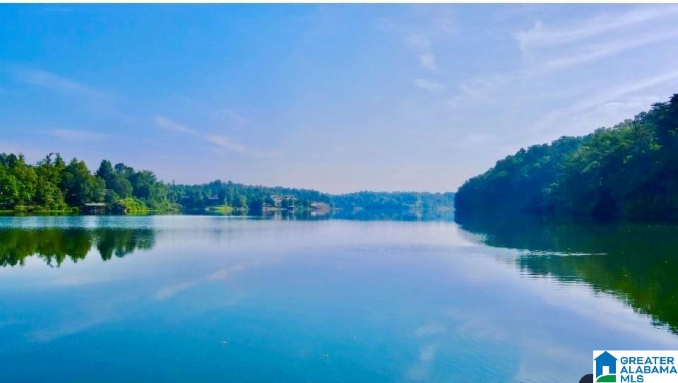 Homes for sale in Warrior, AL | 314 Panoramic Trail, Warrior, AL 35180 | MLS# 21444083