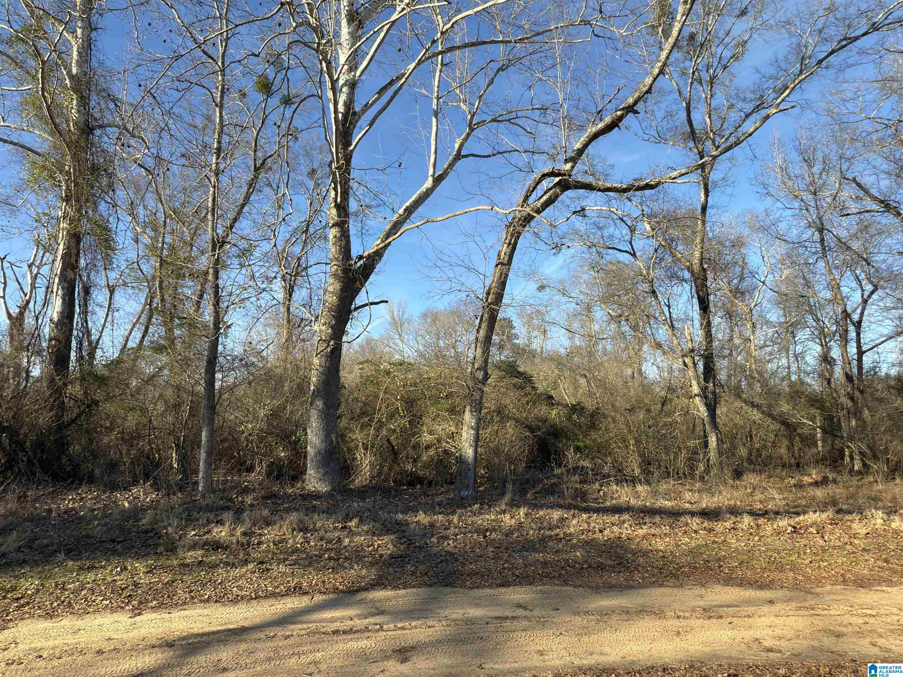 Homes for sale in Stanton, AL | 0 County Road 863, Stanton, AL 36750 | MLS# 21444088