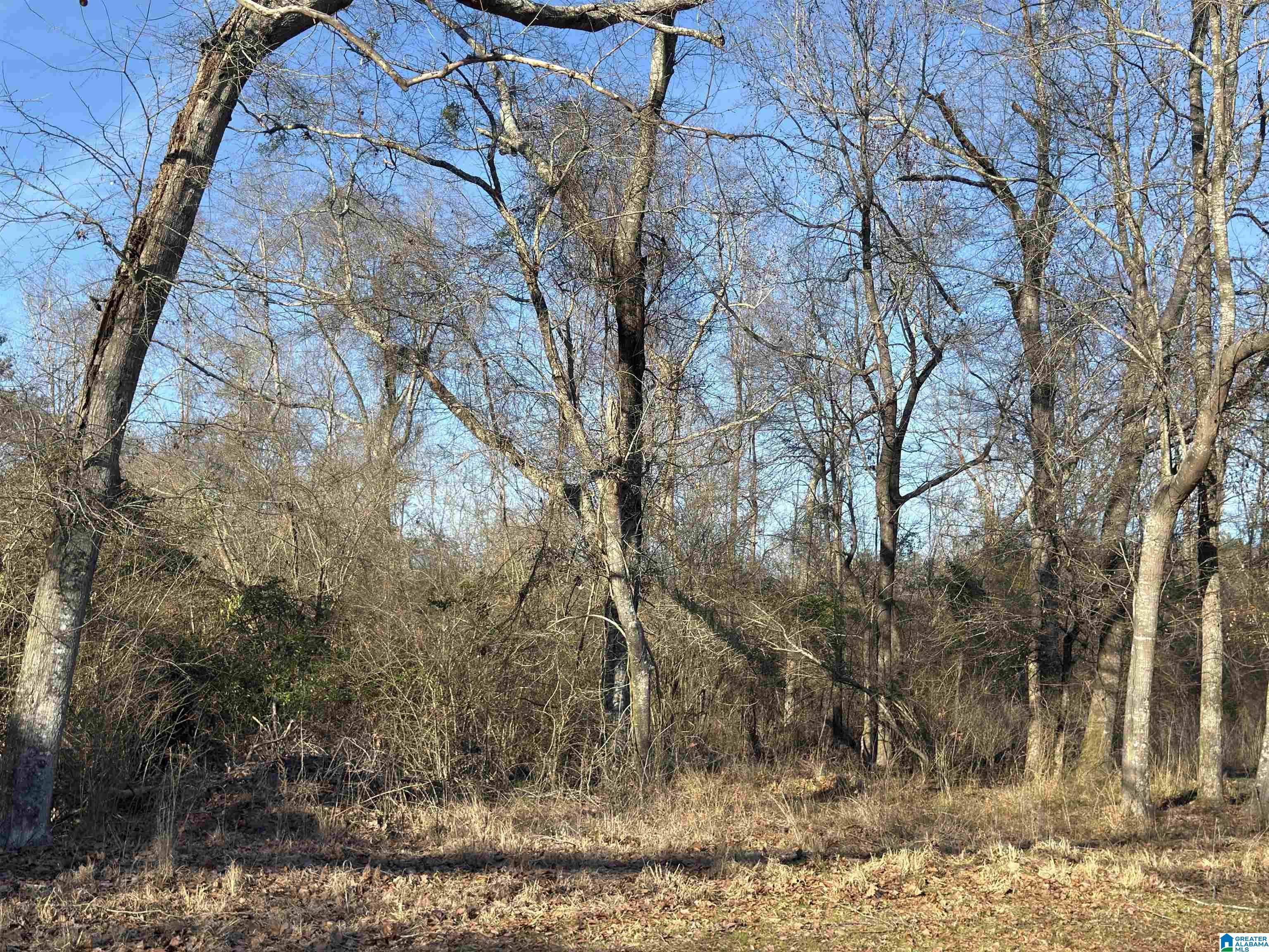 Homes for sale in Stanton, AL | 0 County Road 863, Stanton, AL 36750 | MLS# 21444088